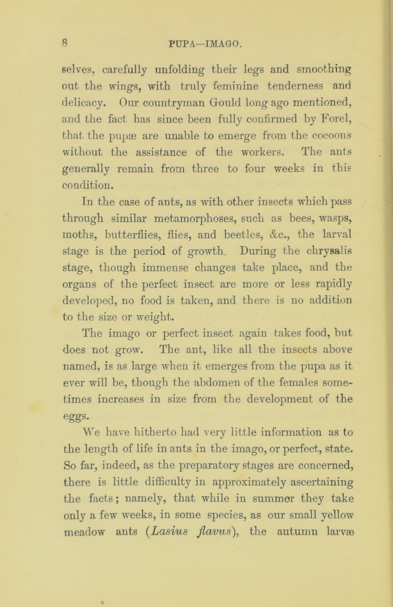 selves, carefully unfolding their legs and smoothing out the wings, with truly feminine tenderness and delicacy. Our countryman Gould long ago mentioned, and the fact has since been fully confirmed by Forel, that the pupae are unable to emerge from the cocoons without the assistance of the workers. The ants generally remain from three to four weeks in this condition. In the case of ants, as with other insects which pass through similar metamorphoses, such as bees, wasps, moths, butterflies, flies, and beetles, &c., the larval stage is the period of growth. During the chrysalis stage, though immense changes take place, and the organs of the perfect insect are more or less rapidly developed, no food is taken, and there is no addition to the size or weight. The imago or perfect insect again takes food, but does not grow. The ant, like all the insects above named, is as large when it emerges from the pupa as it ever will be, though the abdomen of the females some- times increases in size from the development of the eggs. We have hitherto had very little information as to the length of life in ants in the imago, or perfect, state. So far, indeed, as the preparatory stages are concerned, there is little difficulty in approximately ascertaining the facts; namely, that while in summor they take only a few weeks, in some species, as our small yellow meadow ants (Lasius Jlavus), the autumn larvae