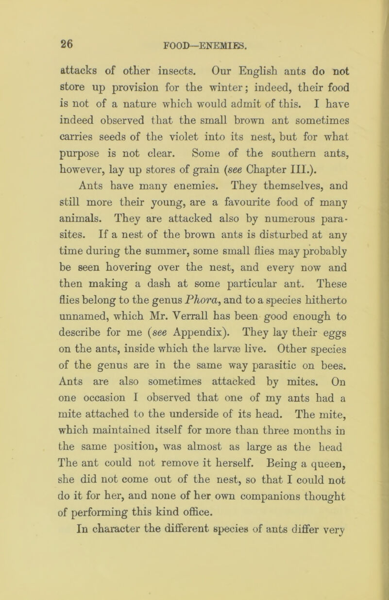 attacks of other insects. Our English ants do not store up provision for the winter; indeed, their food is not of a nature which would admit of this. I have indeed observed that the small brown ant sometimes carries seeds of the violet into its nest, but for what purpose is not clear. Some of the southern ants, however, lay up stores of grain (see Chapter III.). Ants have many enemies. They themselves, and still more their young, are a favourite food of many animals. They are attacked also by numerous para- sites. If a nest of the brown ants is disturbed at any time during the summer, some small flies may probably be seen hovering over the nest, and every now and then making a dash at some particular ant. These flies belong to the genus Phora, and to a species hitherto unnamed, which Mr. Verrall has been good enough to describe for me (see Appendix). They lay their eggs on the ants, inside which the larvae live. Other species of the genus are in the same way parasitic on bees. Ants are also sometimes attacked by mites. On one occasion I observed that one of my ants had a mite attached to the underside of its head. The mite, which maintained itself for more than three months in the same position, was almost as large as the head The ant could not remove it herself. Being a queen, she did not come out of the nest, so that I could not do it for her, and none of her own companions thought of performing this kind office. In character the different species of ants differ very