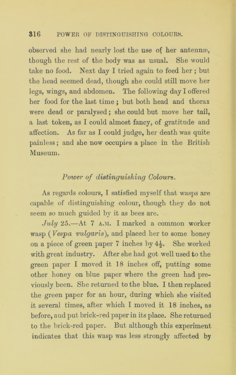 observed she had nearly lost the use of her antenna?, though the rest of the body was as usual. She would take no food. Next day I tried again to feed her; but the head seemed dead, though she could still move her legs, wings, and abdomen. The following day I offered her food for the last time ; but both head and thorax were dead or paralysed; she could but move her tail, a last token, as I could almost fancy, of gratitude and affection. As far as I could judge, her death was quite painless; and she now occupies a place in the British Museum. Power of distinguishing Colours. As regards colours, I satisfied myself that wasps are capable of distinguishing colour, though they do not seem so much guided by it as bees are. July 25.—At 7 a.m. I marked a common worker wasp ( Vespa vulgaris), and placed her to some honey on a piece of green paper 7 inches by 4^. She worked with great industry. After she had got well used to the green paper I moved it 18 inches off, putting some other honey on blue paper where the green had pre- viously been. She returned to the blue. I then replaced the green paper for an hour, during which she visited it several times, after which I moved it 18 inches, as before, and put brick-red paper in its place. She returned to the brick-red paper. But although this experiment indicates that this wasp was less strongly affected by