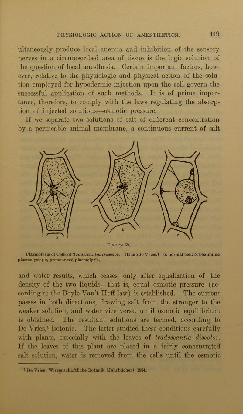 ultaneously produce local anemia and inhibition of the sensory nerves in a circumscribed area of tissue is the logic solution of the question of local anesthesia. Certain important factors, how- ever, relative to the physiologic and physical action of the solu- tion employed for hypodermic injection upon the cell govern the successful application of such methods. It is of prime impor- tance, therefore, to comply with the laws regulating the absorp- tion of injected solutions—osmotic pressure. If we separate two solutions of salt of different concentration by a permeable animal membrane, a continuous current of salt Plasmolysis of Cells of Tradescantia Discolor. (Hugo de Vries.) a, normal cell; h, beginning plasmolysis; c, pronounced plasmolysis. and water results, which ceases only after equalization of the density of the two liquids—that is, equal osmotic pressure (ac- cording to the Boyle-Van’t Hoff law) is established. The current passes in both directions, di’awing salt from the stronger to the weaker solution, and water vice versa, until osmotic equilibrium is obtained. The resultant solutions are termed, according to De Vries,^ isotonic. The latter studied these conditions carefully with plants, especially with the leaves of tradescantia discolor. If the leaves of this plant are placed in a fairly concentrated salt solution, water is removed from the cells until the osmotic ^ De Vries: Wissenschaftliche Botanik (Jahrbiicher), 1884.