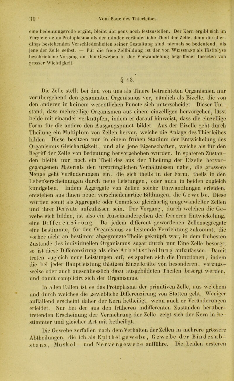 eine bedeutungsvolle ergibt, bleibt übrigens noch festzustellen. Der Kern ergibt sich im Vergleich zum Protoplasma als der minder veränderliche Theil der Zelle, denn die aller- dings bestehenden Verschiedenheiten seiner Gestaltung sind niemals so bedeutend, als jene der Zelle selbst. — Für die freie Zellbildung ist der von Weissmann als Histiolyse beschriebene Vorgang an den Geweben in der Verwandelung begriffener Insecten von grosser Wichtigkeit. § 13- Die Zelle stellt bei den von uns als Thiere betrachteten Organismen nur vorübergehend den gesarnmten Organismus vor, nämlich als Eizelle, die von den anderen in keinem wesentlichen Puncte sich unterscheidet. Dieser Um- stand, dass mehrzellige Organismen aus einem einzelligen hervorgehen, lässt beide mit einander verknüpfen, indem er darauf hinweist, dass die einzellige Form für die andere den Ausgangspunct bildet. Aus der Eizelle geht durch Theilung ein Multiplum von Zellen hervor, welche die Anlage des Thierleibes bilden. Diese besitzen nur in einem frühen Stadium der Entwickelung des Organismus Gleichartigkeit, und alle jene Eigenschaften, welche als für den Begriff der Zelle von Bedeutung hervorgehoben wurden. In späteren Zustän- den bleibt nur noch ein Theil des aus der Theilung der Eizelle hervor- gegangenen Materials den ursprünglichen Verhältnissen nahe, die grössere Menge geht Veränderungen ein, die sich theils in der Form, theils in den Leben'serscheinungen durch neue Leistungen, oder auch in beiden zugleich kundgeben. Indem Aggregate von Zellen soiche Umwandlungen erleiden, entstehen aus ihnen neue, verschiedenartige Bildungen, die Gewebe. Diese würden somit als Aggregate oder Complexe gleichartig umgewandelter Zellen und ihrer Derivate aufzufassen sein. Der Vorgang, durch welchen die Ge- webe sich bilden, ist also ein Auseinandergehen der ferneren Entwickelung, eine Differe nzirung. Da jedem different gewordenen Zellenaggregate eine bestimmte, für den Organismus zu leistende Verrichtung zukommt, die vorher nicht an bestimmt abgegrenzte Theile geknüpft war, in dem frühesten Zustande des individuellen Organismus sogar durch nur Eine Zelle besorgt, so ist diese Differenzirung als eine Arbeitsteilung aufzufassen. Damit treten zugleich neue Leistungen auf, es spalten sich die Functionen , indem die bei jeder Hauptleislung thätigen Einzelkräfte von besonderen, vorzugs- weise oder auch ausschliesslich dazu ausgebildeten Theilen besorgt werden, und damit complicirt sich der Organismus. In allen Fällen ist es das Protoplasma der primitiven Zelle, aus welchem und durch welches die gewebliche Differenzirung von Statten geht. Weniger auffallend erscheint daher der Kern betheiligt, wenn auch er Veränderungen erleidet. Nur bei der aus den früheren indifferenten Zuständen herüber- tretenden Erscheinung der Vermehrung der Zelle zeigt sich der Kern in be- stimmter und gleicher Art mit betheiligt. Die Gewebe zerfallen nach dem Verhalten der Zellen in mehrere grössere Abtheilungen, die ich als Epithel ge webe, Gewebe der Bindesub- stanz, Muskel- und Nervengewebe aufführe. Die beiden ersteren