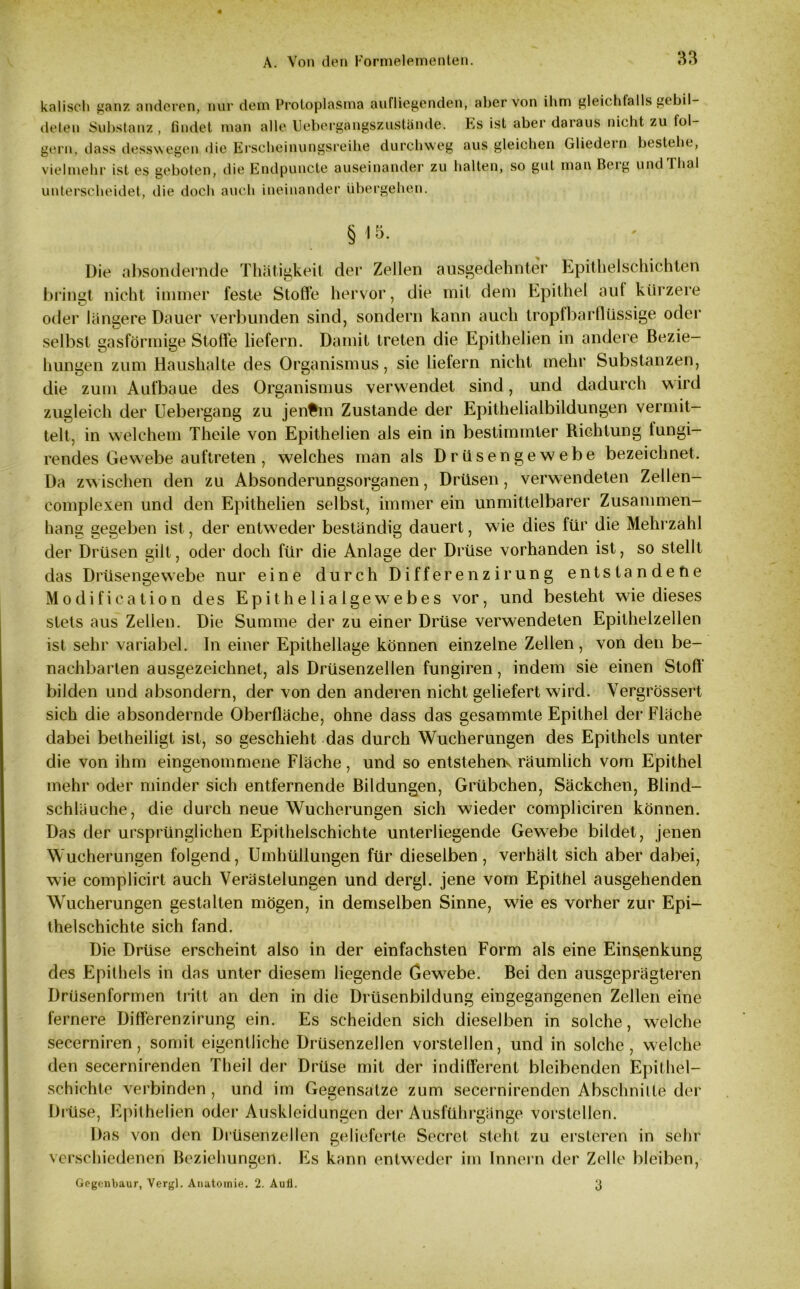 kaliscli ganz anderen, nur dem Protoplasma auflicgenden, aber von ihm gleichfalls gebil- deten Substanz, findet man alle Uebergangszustände. Es ist aber daraus nicht zu fol- gern, dass desswegen die Erscheinungsreihe durchweg aus gleichen Gliedein bestehe, vielmehr ist es geboten, die Endpuncte auseinander zu halten, so gut man Berg und Thal unterscheidet, die doch auch ineinander übergehen. §15. Die absondernde Thätigkeit der Zellen ausgedehnter Epithelschichten bringt nicht immer feste Stoffe hervor, die mit dem Epithel auf kürzere oder längere Dauer verbunden sind, sondern kann auch tropfbar flüssige oder selbst gasförmige Stoffe liefern. Damit treten die Epithelien in andere Bezie- hungen zum Haushalte des Organismus, sie liefern nicht mehr Substanzen, die zum Aufbaue des Organismus verwendet sind, und dadurch wird zugleich der Uebergang zu jenfcm Zustande der Epithelialbildungen vermit- telt, in welchem Theile von Epithelien als ein in bestimmter Richtung fungi- rendes Gewebe auftreten, welches man als Drüsengewebe bezeichnet. Da zwischen den zu Absonderungsorganen, Drüsen, verwendeten Zellen- complexen und den Epithelien selbst, immer ein unmittelbarer Zusammen- hang gegeben ist, der entweder beständig dauert, wie dies für die Mehrzahl der Drüsen gilt, oder doch für die Anlage der Drüse vorhanden ist, so stellt das Drüsengewebe nur eine durch Differenzirung entstandene Modification des Epithelialgewebes vor, und besteht wie dieses stets aus Zelien. Die Summe der zu einer Drüse verwendeten Epithelzellen ist sehr variabel. In einer Epithellage können einzelne Zellen, von den be- nachbarten ausgezeichnet, als Drüsenzellen fungiren, indem sie einen Stoff bilden und absondern, der von den anderen nicht geliefert wird. Vergrössert sich die absondernde Oberfläche, ohne dass das gesammte Epithel der Fläche dabei betheiligt ist, so geschieht das durch Wucherungen des Epithels unter die von ihm eingenommene Fläche, und so entstehen räumlich vom Epithel mehr oder minder sich entfernende Bildungen, Grübchen, Säckchen, Blind- schläuche, die durch neue Wucherungen sich wieder compliciren können. Das der ursprünglichen Epithelschichte unterliegende Gewebe bildet, jenen Wucherungen folgend, Umhüllungen für dieselben , verhält sich aber dabei, wie complicirt auch Verästelungen und dergl. jene vom Epithel ausgehenden Wucherungen gestalten mögen, in demselben Sinne, wie es vorher zur Epi- thelschichte sich fand. Die Drüse erscheint also in der einfachsten Form als eine Einsenkung des Epithels in das unter diesem liegende Gewebe. Bei den ausgeprägteren Drüsenformen tritt an den in die Drüsenbildung eingegangenen Zellen eine fernere Differenzirung ein. Es scheiden sich dieselben in solche, welche secerniren, somit eigentliche Drüsenzellen vorstellen, und in solche, welche den secernirenden Theil der Drüse mit der indifferent bleibenden Epithel- schichte verbinden, und im Gegensätze zum secernirenden Abschnitte der Drüse, Epithelien oder Auskleidungen der Ausführgänge vorstellen. Das von den Drüsenzellen gelieferte Secrct steht zu ersteren in sehr verschiedenen Beziehungen. Es kann entweder im Innern der Zelle bleiben, Gegenbaur, Vergl. Anatomie. 2. Aufl. 3