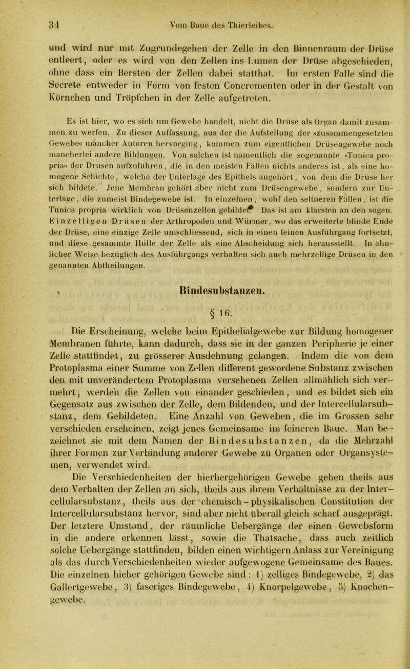 und wird nur mit Zugrundegehen der Zelle in den Binnenraum der Drüse entleert, oder es wird von den Zellen ins Lumen der Drüse abgeschieden, ohne dass ein Bersten der Zellen dabei slatthat. Im ersten Falle sind die Secrete entweder in Form von festen Concrementen oder in der Gestalt von Körnchen und Tröpfchen in der Zelle aufgetreten. Es ist hier, wo es sich um Gewebe handelt, nicht die Drüse als Organ damit zusam- men zu werfen. Zu dieser Auffassung, aus der die Aufstellung der »zusammengesetzten Gewebe« mancher Autoren hervorging, kommen zum eigentlichen Drüsengewebe noch mancherlei andere Bildungen. Von solchen ist namentlich die sogenannte »Tunica pro- pria« der Drüsen aufzuführen, die in den meisten Fällen nichts anderes ist, als eine ho- mogene Schichte, welche der Unterlage des Epithels angehört, von dem die Drüse her sich bildete. Jene Membran gehört aber nicht zum Drüsengewebe, sondern zur Un- terlage, die zumeist Bindegewebe ist. In einzelnen , wohl den seltneren Fällen , ist die Tunica propria wirklich von Drüsenzellen gebildet Das ist am klarsten an den sogen. Einzelligen Drüsen der Arthropoden und Würmer, wo das erweiterte blinde Ende der Drüse, eine einzige Zelle umschliessend, sich in einen feinen Ausführgang fortsetzt, und diese gesammte Hülle der Zelle als eine Abscheidung sich herausstellt. In ähn- licher Weise bezüglich des Ausführgangs verhalten sich auch mehrzellige Drüsen in den genannten Abtheilungen. % Bindesubstanzen. § 1 & Die Erscheinung, welche beim Epithelialgewebe zur Bildung homogener Membranen führte, kann dadurch, dass sie in der ganzen Peripherie je einer Zelle statt findet, zu grösserer Ausdehnung gelangen. Indem die von dem Protoplasma einer Summe von Zellen different gewordene Substanz zwischen den mit unverändertem Protoplasma versehenen Zellen allmählich sich ver- mehrt , werden die Zellen von einander geschieden, und es bildet sich ein Gegensatz aus zwischen der Zelle, dem Bildenden, und der Intercellularsub- stanz, dem Gebildeten. Eine Anzahl von Geweben, die im Grossen sehr verschieden erscheinen, zeigt jenes Gemeinsame im feineren Baue. Man be- zeichnet sie mit dem Namen der Bindesubstanzen, da die Mehrzahl ihrer Formen zur Verbindung anderer Gewebe zu Organen oder Organsyste- men, verwendet wird. Die Verschiedenheiten der hierhergehörigen Gewebe gehen tlieils aus dem Verhalten der Zellen an sich, theils aus ihrem Verhältnisse zu der Inter- cellularsubstanz, theils aus der’chemisch-physikalischen Constitution der lntercellularsubstanz hervor, sind aber nicht überall gleich scharf ausgeprägt. Der letztere Umstand, der räumliche Uebergänge der einen Gewebsform in die andere erkennen lässt, sowie die Thatsache, dass auch zeitlich solche Uebergänge slattfinden, bilden einen wichtigem Anlass zur Vereinigung als das durch Verschiedenheiten wieder aufgewogene Gemeinsame des Baues. Die einzelnen hieher gehörigen Gewebe sind : I) zeitiges Bindegewebe, 2) das Gallcrtgewebe, 3) faseriges Bindegewebe, 4) Knorpelgewebe, 5) Knochen- gewebe.