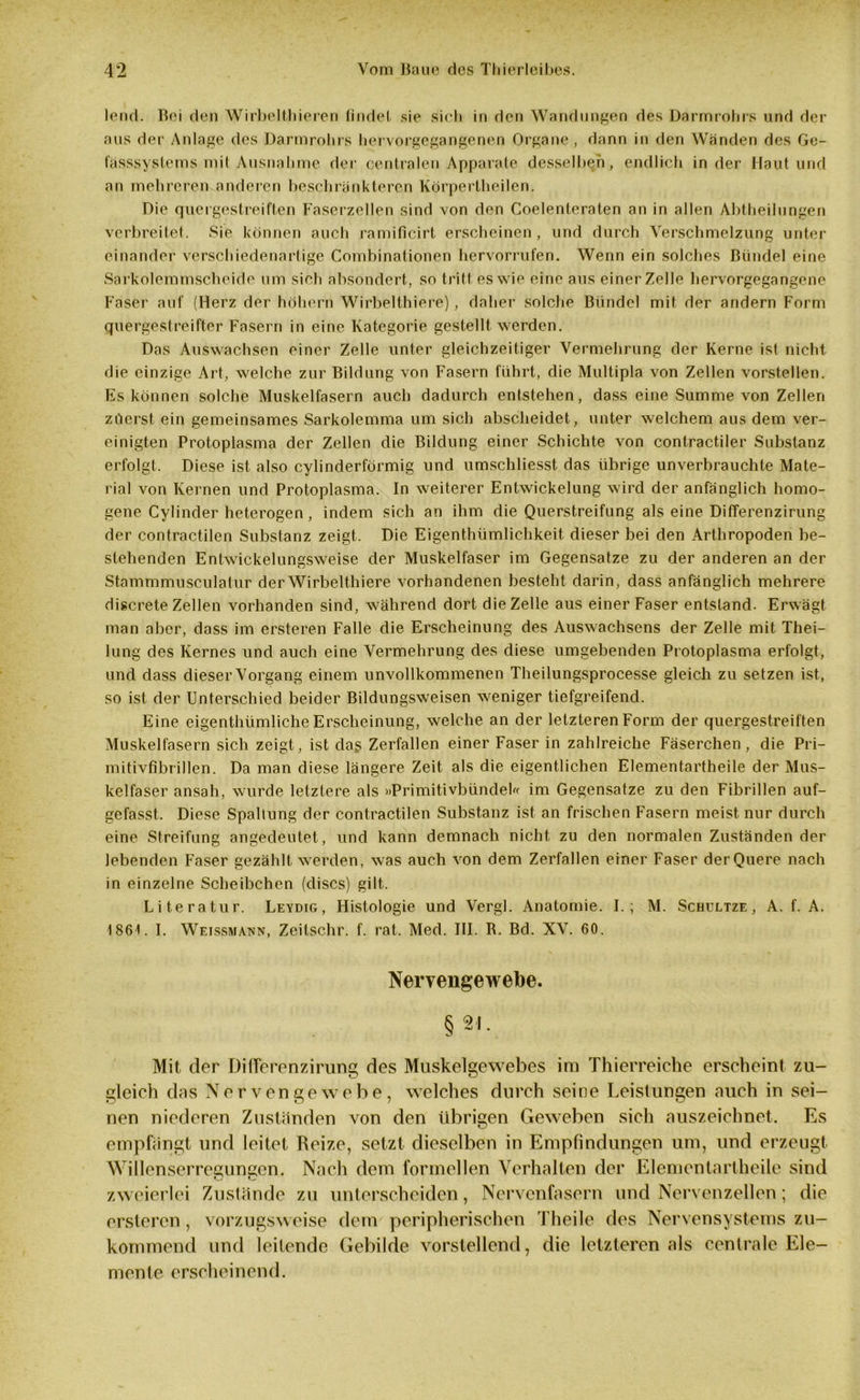 lend. Bei den Wirbelthieren findet sie sich in den Wandungen des Darmrohrs und der aus der Anlage des Darmrohrs hervorgegangenen Organe, dann in den Wanden des Ge- fässsystems mit Ausnahme der centralen Apparate desselben, endlich in der Haut und an mehreren anderen beschränkteren Körpertheilen. Die quergestreiften Faserzellen sind von den Coelenteraten an in allen Abtheilungen verbreitet. Sie können auch ramificirt erscheinen , und durch Verschmelzung unter einander verschiedenartige Combinationen hervorrufen. Wenn ein solches Bündel eine Sarkolemmscheide um sich absondert, so tritt es wie eine aus einer Zelle hervorgegangene Faser auf (Herz der hohem Wirbelthiere), daher solche Bündel mit der andern Form quergestreifter Fasern in eine Kategorie gestellt werden. Das Auswachsen einer Zelle unter gleichzeitiger Vermehrung der Kerne ist nicht, die einzige Art, welche zur Bildung von Fasern führt, die Multipla von Zellen vorstellen. Es können solche Muskelfasern auch dadurch entstehen, dass eine Summe von Zellen züerst ein gemeinsames Sarkolemma um sich abscheidet, unter welchem aus dem ver- einigten Protoplasma der Zellen die Bildung einer Schichte von contractiler Substanz erfolgt. Diese ist also cylinderförmig und umschliesst das übrige unverbrauchte Mate- rial von Kernen und Protoplasma. In weiterer Entwickelung wird der anfänglich homo- gene Cylinder heterogen, indem sich an ihm die Querstreifung als eine Differenzirung der contractilen Substanz zeigt. Die Eigenthümlichkeit dieser bei den Arthropoden be- stehenden Entwickelungsweise der Muskelfaser im Gegensätze zu der anderen an der Stommmusculatur der Wirbelthiere vorhandenen besteht darin, dass anfänglich mehrere discrete Zellen vorhanden sind, während dort die Zelle aus einer Faser entstand. Erwägt man aber, dass im ersteren Falle die Erscheinung des Auswachsens der Zelle mit Thei- lung des Kernes und auch eine Vermehrung des diese umgebenden Protoplasma erfolgt, und dass dieser Vorgang einem unvollkommenen Theilungsprocesse gleich zu setzen ist, so ist der Unterschied beider Bildungsweisen weniger tiefgreifend. Eine eigenthümliche Erscheinung, welche an der letzteren Form der quergestreiften Muskelfasern sich zeigt, ist das Zerfallen einer Faser in zahlreiche Fäserchen, die Pri- mitivfibrillen. Da man diese längere Zeit als die eigentlichen Elementartheile der Mus- kelfaser ansah, wurde letztere als »Primitivbündel« im Gegensätze zu den Fibrillen auf- gefasst. Diese Spaltung der contractilen Substanz ist an frischen Fasern meist nur durch eine Streifung angedeutet, und kann demnach nicht zu den normalen Zuständen der lebenden Faser gezählt werden, was auch von dem Zerfallen einer Faser der Quere nach in einzelne Scheibchen (discs) gilt. Literatur. Leydig, Histologie und Vergl. Anatomie. I.; M. Schultze , A. f. A. 1861. I. Weissmann, Zeitschr. f. rat. Med. III. R. Bd. XV. 60. Nervengewebe. §21. Mit der Differenzirung des Muskelgewebes im überreiche erscheint zu- gleich das Nervengewebe, welches durch seine Leistungen auch in sei- nen niederen Zuständen von den übrigen Geweben sich auszeichnet. Es empfängt und leitet Reize, setzt dieselben in Empfindungen um, und erzeugt Willenserregungen. Nach dem formellen Verhalten der Elementartheile sind zweierlei Zustände zu unterscheiden, Nervenfasern und Nervenzellen ; die ersteren, vorzugsweise dem peripherischen Theile des Nervensystems zu- kommend und leitende Gebilde vorstellend, die letzteren als centrale Ele- mente erscheinend.