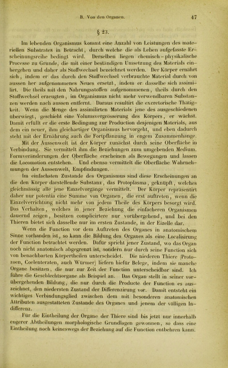 §23. Im lebenden Organismus kommt eine Anzahl von Leistungen des mate- riellen Substrates in Betracht, durch welche die als Leben aufgefasste Er- scheinungsreihe bedingt wird. Derselben liegen chemisch - physikalische Processe zu Grunde, die mit einer beständigen Umsetzung des Materials ein- hergehen und daher als Stoffwechsel bezeichnet werden. Der Körper ernährt sich , indem er das durch den Stoffwechsel verbrauchte Material durch von aussen her aufgenommenes Neues ersetzt, indem er dasselbe sich assimi- lirt. Die theils mit den Nahrungsstoffen aufgenommenen, theils durch den Stoffwechsel erzeugten, im Organismus nicht mehr verwendbaren Substan- zen werden nach aussen entfernt. Daraus resultirt die excrelorische Thätig- keit. Wenn die Menge des assimilirten Materials jene des ausgeschiedenen überwiegt, geschieht eine Volumsvergrösserung des Körpers, er wächst. Damit erfüllt er die erste Bedingung zur Production desjenigen Materials, aus dem ein neuer, ihm gleichartiger Organismus hervorgeht, und eben dadurch steht mit der Ernährung auch die Fortpflanzung in engem Zusammenhänge. Mit der Aussenwelt ist der Körper zunächst durch seine Oberfläche in Verbindung. Sie vermittelt ihm die Beziehungen zum umgebenden Medium. Form Veränderungen der Oberfläche erscheinen als Bewegungen und lassen die Locomotion entstehen. Und ebenso vermittelt die Oberfläche Wahrneh- mungen der Aussenwelt, Empfindungen. Im einfachsten Zustande des Organismus sind diese Erscheinungen an die den Körper darstellende Substanz, das Protoplasma, geknüpft, welches gleichmässig alle jene Einzeivorgänge vermittelt. Der Körper repräsentirt daher nur potentia eine Summe von Organen , die erst auftreten , wenn die Einzelverrichtung nicht mehr von jedem Theile des Körpers besorgt wird. Das Verhalten, welches in jener Beziehung die einfacheren Organismen dauernd zeigen , besitzen complicirtere nur vorübergehend, und bei den Thieren bietet sich dasselbe nur im ersten Zustande, in der Eizelle dar. Wenn die Function vor dem Auftreten des Organes in anatomischem Sinne vorhanden ist, so kann die Bildung des Organes als eine Localisirung der Function betrachtet werden. Dafür spricht jener Zustand, wo das Organ noch nicht anatomisch abgegrenzt ist, sondern nur durch seine Function sich von benachbarten Körpertheilen unterscheidet. Die niederen Thiere (Proto- zoen, Coelenteraten, auch Würmer) liefern hiefür Belege, indem sie manche Organe besitzen, die nur zur Zeit der Function unterscheidbar sind. Ich lühre die Geschlechtsorgane als Beispiel an. Das Organ stellt in seiner vor- übergehenden Bildung, die nur durch die Producte der Function es aus- zeichnet, den niedersten Zustand der Differenzirung vor. Damit entsteht ein wichtiges Verbindungsglied zwischen dem mit besonderen anatomischen Altiibuten ausgestatteten Zustande des Organes und jenem der völligen In- differenz. Für die Eintheilung der Organe der Thiere sind bis jetzt nur innerhalb engerer Abtheilungen morphologische Grundlagen gewonnen, so dass eine Eintheilung noch keineswegs der Beziehung auf die Function entbehren kann.