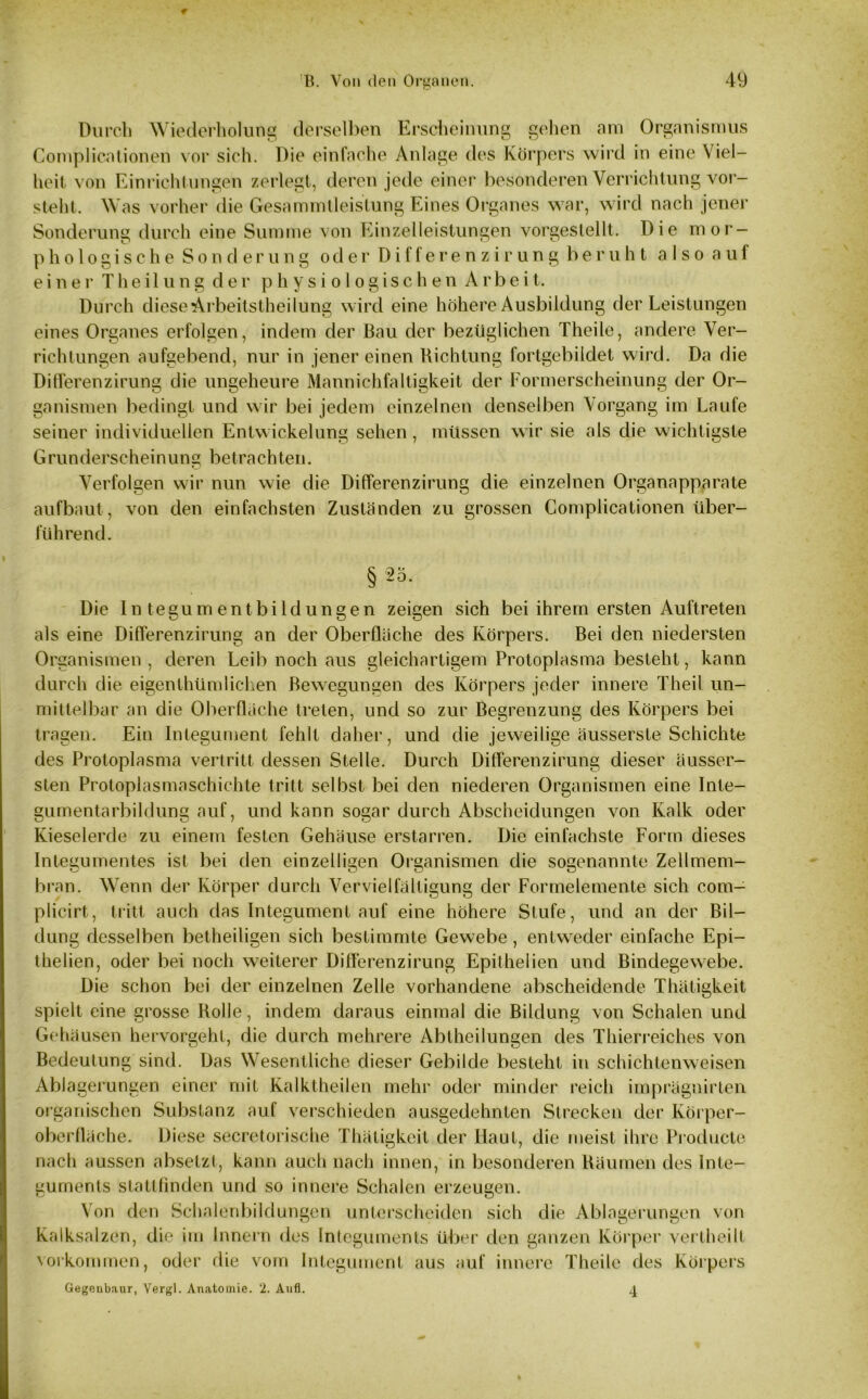 Durch Wiederholung derselben Erscheinung gehen am Organismus Complicationen vor sich. Die einfache Anlage des Körpers wird in eine Viel- heit von Einrichtungen zerlegt, deren jede einer besonderen Verrichtung vor— steht. Was vorher die Gesammtleistung Eines Organes war, wird nach jener Sonderung durch eine Summe von Einzelleistungen vorgestellt. Die mor- phologische Sonderung oder Differenzirung beruht also auf einer T h e i 1 u n g der physiologischen Arbeit. Durch diese Arbeitsteilung wird eine höhere Ausbildung der Leistungen eines Organes erfolgen, indem der Bau der bezüglichen Theile, andere Ver- richtungen aufgebend, nur in jener einen Richtung fortgebildet wird. Da die Differenzirung die ungeheure Mannichfaltigkeit der Formerscheinung der Or- ganismen bedingt und wir bei jedem einzelnen denselben Vorgang im Laufe seiner individuellen Entwickelung sehen , müssen wir sie als die wichtigste Grunderscheinung betrachten. Verfolgen wir nun wie die Differenzirung die einzelnen Organapparate aufbaut , von den einfachsten Zuständen zu grossen Complicationen über- führend. § 25. Die Integumentbildungen zeigen sich bei ihrem ersten Auftreten als eine Differenzirung an der Oberfläche des Körpers. Bei den niedersten Organismen, deren Leib noch aus gleichartigem Protoplasma besteht, kann durch die eigentümlichen Bewegungen des Körpers jeder innere Theil un- mittelbar an die Oberfläche treten, und so zur Begrenzung des Körpers bei tragen. Ein Integument fehlt daher, und die jeweilige äusserste Schichte des Protoplasma vertritt dessen Stelle. Durch Differenzirung dieser äusser- sten Protoplasmaschichte tritt selbst bei den niederen Organismen eine Inte- gumentarbildung auf, und kann sogar durch Abscheidungen von Kalk oder Kieselerde zu einem festen Gehäuse erstarren. Die einfachste Form dieses Integumentes ist bei den einzelligen Organismen die sogenannte Zellmem- bran. Wenn der Körper durch Vervielfältigung der Formelemente sich com- plicirt, tritt auch das Integument auf eine höhere Stufe, und an der Bil- dung desselben betheiligen sich bestimmte Gewebe, entweder einfache Epi- thelien, oder bei noch weiterer Differenzirung Epithelien und Bindegewebe. Die schon bei der einzelnen Zelle vorhandene abscheidende Thüligkeit spielt eine grosse Rolle, indem daraus einmal die Bildung von Schalen und Gehäusen hervorgeht, die durch mehrere Ablheilungen des Thierreiches von Bedeutung sind. Das Wesentliche dieser Gebilde bestellt in schichtenweisen Ablagerungen einer mit Kalktheilen mehr oder minder reich imprägnirten organischen Substanz auf verschieden ausgedehnten Strecken der Körper- oberfläche. Diese secretorische Thätigkeit der Haut, die meist ihre Producte nach aussen absetzl, kann auch nach innen, in besonderen Räumen des Inte- guments stattfinden und so innere Schalen erzeugen. Von den Schalenbildungen unterscheiden sich die Ablagerungen von Kalksalzen, die im Innern des Integuments über den ganzen Körper vertheilt Vorkommen, oder die vom Integument aus auf innere Theile des Körpers Gegenbaur, Vergl. Anatomie. 2. Aufl. 4