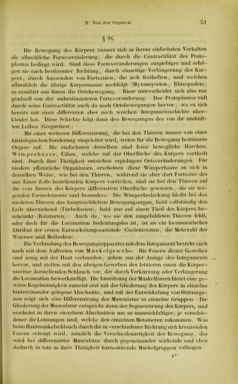 §*6- Die Bewegung des Körpers äussert sich in ihrem einfachsten Verhalten als allmähliche Form Veränderung, die durch die Contractilität des Proto- plasma bedingt wird. Sind diese Formveränderungen ausgiebiger und erfol- gen sie nach bestimmter Richtung, durch einseitige Verlängerung des Kör- pers, durch Aussenden von Fortsätzen, die sich festheften, und welchen allmählich die übrige Körpermasse nachfolgt (Myxomyceten, Rhizopoden), so resultirt aus ihnen die Ortsbewegung. Diese unterscheidet sich also nur graduell von der unbestimmteren Formveränderung. Das Protoplasma ruit durch seine Contractilität auch da noch Ortsbewegungen hervor, wo es sich bereits mit einer differenten aber noch weichen Integumentschichte über- kleidet hat. Diese Schichte folgt dann den Bewegungen des von ihr umhüll- ten Leibes (Gregarinen). Mit einer weiteren Differenzirung, die bei den Thieren immer von einer histiologischen Sonderung eingeleitet wird, treten für die Bewegung bestimmte Organe auf. Die einfachsten derselben sind feine bewegliche Härchen, Wdm perhaare, Cilien, welche auf der Oberfläche des Körpers vertheilt sind. Durch ihre Thätigkeit entstehen ergiebigere Orts Veränderungen. Für niedere pflanzliche Organismen erscheinen diese Wimperhaare an sich in derselben Weise, wie bei den Thieren, während sie aber dort Fortsätze des aus Einer Zelle bestehenden Körpers vorstellen, sind sie bei den Thieren aut die vom Innern des Körpers differenzirte Oberfläche gewiesen, die sie tra- genden Formelemente sind besondere. Die Wimperbedeckung bleibt bei den niederen Thieren das hauptsächlichste Bewegungsorgan, bald vollständig den Leib überziehend (Turbeliarien), bald nur auf einen Theil des Körpers be- schränkt (Rotatorien). Auch da , wo sie den ausgebildeten Thieren fehlt, oder doch für die Locomotion bedeutungslos ist, ist sie ein locomolorisches Attribut der ersten Entwickelungszustände (Coelenteraten, die Mehrzahl der Würmer und Mollusken). Die Verbindung des Bewegungsapparates mit dem Integument besteht auch noch mit dem Auftreten von Muskelgewebe. Die Fasern dieses Gewebes sind innig mit der Haut verbunden , gehen aus der Anlage des Integuments hervor, und stellen mit den übrigen Geweben des letzteren einen die Körper- umrisse darstellenden Schlauch vor, der durch Verkürzung oder Verlängerung die Locomotion bew erkstelligt. Die Anordnung der Muskelfasern bietet eine ge- wisse Regelmässigkeit zumeist erst mit der Gliederung des Körpers in einzelne hintereinander gelegene Abschnitte, und mit der Entwickelung von Stützorga- nen zeigt sich eine Differenzirung des Musculatur in einzelne Gruppen. Die Gliederung der Musculatur entspricht dann der Segmentirung des Körpers, und erscheint in ihren einzelnen Abschnitten um so mannichfaltiger, je verschie- dener die Leistungen sind, welche den einzelnen Metameren zukommen. Was beim Hautmuskelschlauch durch die in verschiedener Richtung sich kreuzenden Fasern erzeugt wird, nämlich die Verschiedenartigkeit der Bewegung, das wird bei differenzirter Musculatur durch gegeneinander wirkende und eben dadurch in tote in ihrer Thätigkeit harmonirende Muskelgruppen vollzogen. 4*