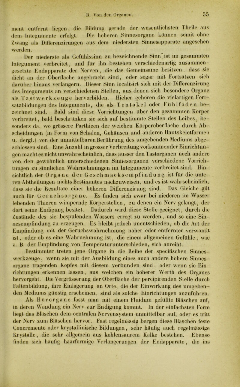ment entfernt liegen, die Bildung gerade der wesentlichsten Tfieile aus dem Integumente erfolgt. Die höheren Sinnesorgane können somit ohne Zwang als Di Heren zirungen aus dem niedersten Sinnesapparate angesehen werden. Der niederste als Gefühlssinn zu bezeichnende Sinn ist im gesammten Integument verbreitet, und für ihn bestehen verschiedenartig zusammen- gesetzte Endapparate der Nerven , die das Gemeinsame besitzen, dass sie dicht an der Oberfläche angebracht sind, oder sogar mit Fortsätzen sich darüber hinaus verlängern. Dieser Sinn localisirt sich mit der Differenzirung des Integuments an verschiedenen Stellen, aus denen sich besondere Organe als Tastwerkzeuge hervorbilden. Hieher gehören die vielartigen Fort- satzbildungen des Integuments, die als Tentakel oder Fühl faden be- zeichnet sind. Bald sind diese Vorrichtungen über den gesammten Körper verbreitet, bald beschränken sie sich auf bestimmte Stellen des Leibes, be- sonders da, wo grössere Parthieen der weichen Körperoberlläche durch Ab- scheidungen (in Form von Schalen, Gehäusen und anderen Hautskeietforinen u. dergl.) von der unmittelbaren Berührung des umgebenden Mediums abge- schlossen sind. Eine Anzahl in grosser Verbreitung vorkommender Einrichtun- gen macht es nicht unwahrscheinlich, dass ausser den Tastorganen noch andere von den gewöhnlich unterschiedenen Sinnesorganen verschiedene Vorrich- tungen zu sinnlichen Wahrnehmungen im Integumente verbreitet sind. Hin- sichtlich der Organe der Geschmacksempfindung ist für die unte- ren Abtheilungen nichts Bestimmtes nachzuweisen, und es ist wahrscheinlich, dass sie die Resultate einer höheren Differenzirung sind. Das Gleiche gilt auch für Geruchsorgane. Es finden sich zwar bei niederen im Wasser lebenden Thieren wimpernde Körperstellen, zu denen ein Nerv gelangt, der dort seine Endigung besitzt. Dadurch wird diese Stelle geeignet, durch die Zustände des sie bespülenden Wassers erregt zu werden, und so eine Sin- nesempfindung zu erzeugen. Es bleibt jedoch unentschieden, ob die Art der Empfindung mit der Geruchs Wahrnehmung näher oder entfernter verwandt ist, oder ob es eine Wahrnehmung ist, die einem allgemeinen Gefühle, wie z. B. der Empfindung von Temperaturunterschieden, sich anreiht. Bestimmter treten jene Organe in die Reihe der specifischen Sinnes- werkzeuge , wenn sie mit der Ausbildung eines auch andere höhere Sinnes- organe tragenden Kopfes mit diesem verbunden sind, oder wenn sie Ein- richtungen erkennen lassen, aus welchen ein höherer Werth des Organes hervorgeht. Die Vergrösserung der Oberfläche der percipirenden Stelle durch Faltenbildung, ihre Einlagerung an Orte, die der Einwirkung des umgeben- den Mediums günstig erscheinen, sind als solche Einrichtungen anzuführen. Als Hörorgane fasst man mit einem Fluidum gefüllte Bläschen auf, in deren Wandung ein Nerv zur Endigung kommt. In der einfachsten Form liegt das Bläschen dem centralen Nervensystem unmittelbar auf, oder es tritt der Nerv zum Bläschen hervor. Fast regelmässig bergen diese Bläschen feste Concreinente oder krystallinische Bildungen, sehr häufig auch regelmässige Krystalle, die sehr allgemein aus kohlensaurem Kalke bestehen. Ebenso finden sich häufig haarförmige Verlängerungen der Endapparate, die ins
