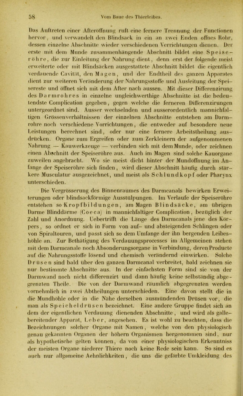 Das Auftreten einer Afteröffnung ruft eine fernere Trennung der Functionen hervor, und verwandelt den Blindsack in ein an zwei Enden offnes Rohr, dessen einzelne Abschnitte wieder verschiedenen Verrichtungen dienen. Der erste mit dem Munde zusammenhängende Abschnitt bildet eine Speise- röhre, die zur Einleitung der Nahrung dient, denn erst der folgende meist erweiterte oder mit Blindsäcken ausgestattete Abschnitt bildet die eigentlich verdauende Cavität, den Magen, und der Endtheil des ganzen Apparates dient zur weiteren Veränderung der Nahrungsstoffe und Ausleitung der Spei- sereste und öffnet sich mit dem After nach aussen. Mit dieser Differenzirung des Da rmrohres in einzelne ungleichwerthige Abschnitte ist die bedeu- tendste Complication gegeben, gegen welche die ferneren Differenzirungen untergeordnet sind. Ausser wechselnden und ausserordentlich mannichfal- tigen Grössen Verhältnissen der einzelnen Abschnitte entstehen am Darm- rohre noch verschiedene Vorrichtungen, die entweder auf besondere neue Leistungen berechnet sind, oder nur eine fernere Arbeitsteilung aus- drücken. Organe zum Ergreifen oder zum Zerkleinern der aufgenommenen Nahrung — Kauwerkzeuge — verbinden sich mit dem Munde, oder zeichnen einen Abschnitt der Speiseröhre aus. Auch im Magen sind solche Kauorgane zuweilen angebracht. Wo sie meist dicht hinter der Mundöffnung im An- fänge der Speiseröhre sich finden, wird dieser Abschnitt häufig durch stär- kere Musculatur ausgezeichnet, und meist als Schlund köpf oder Pharynx unterschieden. Die Vergrösserung des Binnenraumes des Darmcanals bewirken Erwei- terungen oder blindsackförmige Ausstülpungen. Im Verlaufe der Speiseröhre entstehen so Kropf bi 1 düngen , am Magen Blindsäcke, am übrigen Darme Blinddärme (Coeca) in mannichfaltiger Complication, bezüglich der Zahl und Anordnung. Uebertrifft die Länge des Darmcanals jene des Kör- pers , so ordnet er sich in Form von auf- und absteigenden Schlingen oder von Spiraltouren, und passt sich so dem Umfange der ihn bergenden Leibes- höhle an. Zur Betätigung des Verdauungsprocesses im Allgemeinen stehen mit dem Darmcanale noch Absonderungsorgane in Verbindung, deren Producte auf die Nahrungsstoffe lösend und chemisch verändernd einwirken. Solche Drüsen sind bald über den ganzen Darmcanal verbreitet, bald zeichnen sie nur bestimmte Abschnitte aus. In der einfachsten Form sind sie von der Darmwand noch nicht differenzirt und dann häufig keine selbständig abge- grenzten Theile. Die von der Darmwand räumlich abgegrenzten werden vornehmlich in zwei Abteilungen unterschieden. Eine davon stellt die in die Mundhöhle oder in die Nähe derselben ausmündenden Drüsen vor, die man als Speicheldrüsen bezeichnet. Eine andere Gruppe findet sich an dem der eigentlichen Verdauung dienenden Abschnitte , und wird als galle- bereitender Apparat, Leber, angesehen. Es ist wohl zu beachten, dass die Bezeichnungen solcher Organe mit Namen, welche von den physiologisch genau gekannten Organen der höhern Organismen hergenommen sind, nur als hypothetische gelten können, da von einer physiologischen Erkenntniss der meisten Organe niederer Thiere noch keine Rede sein kann. So sind es auch nur allgemeine Aelmlichkeiten, die uns die gefärbte Umkleidung des