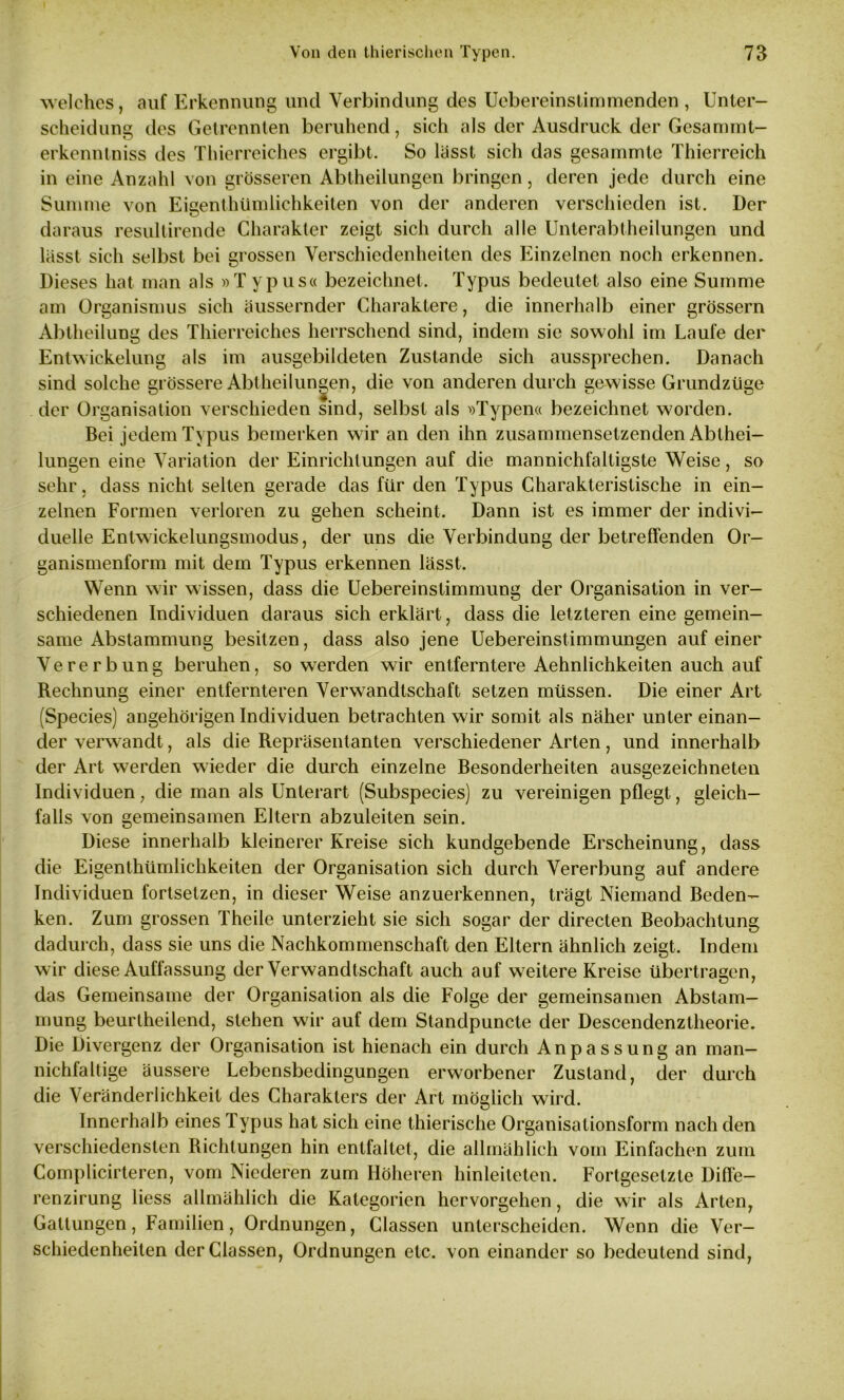 welches, auf Erkennung und Verbindung des Uebereinstimmenden , Unter- scheidung des Getrennten beruhend, sich als der Ausdruck der Gesammt- erkenntniss des Thierreiches ergibt. So lässt sich das gesammte Thierreich in eine Anzahl von grösseren Abtheilungen bringen, deren jede durch eine Summe von Eigenthümlichkeiten von der anderen verschieden ist. Der daraus resultirende Charakter zeigt sich durch alle Unterabtheilungen und lässt sich selbst bei grossen Verschiedenheiten des Einzelnen noch erkennen. Dieses hat man als »T ypus« bezeichnet. Typus bedeutet also eine Summe am Organismus sich äussernder Charaktere, die innerhalb einer grossem Abtheilung des Thierreiches herrschend sind, indem sie sowohl im Laufe der Entwickelung als im ausgebildeten Zustande sich aussprechen. Danach sind solche grössere Abi hei lungen, die von anderen durch gewisse Grundzüge der Organisation verschieden sind, selbst als »Typen« bezeichnet worden. Bei jedem Typus bemerken wir an den ihn zusammensetzenden Abthei- lungen eine Variation der Einrichtungen auf die mannichfaltigste Weise, so sehr, dass nicht selten gerade das für den Typus Charakteristische in ein- zelnen Formen verloren zu gehen scheint. Dann ist es immer der indivi- duelle Entwickelungsmodus, der uns die Verbindung der betreffenden Or- ganismenform mit dem Typus erkennen lässt. Wenn wir wissen, dass die Uebereinstimmung der Organisation in ver- schiedenen Individuen daraus sicherklärt, dass die letzteren eine gemein- same Abstammung besitzen, dass also jene Uebereinstimmungen auf einer Vererbung beruhen, so werden wir entferntere Aehnlichkeiten auch auf Rechnung einer entfernteren Verwandtschaft setzen müssen. Die einer Art (Species) angehörigen Individuen betrachten wir somit als näher untereinan- der verwandt, als die Repräsentanten verschiedener Arten, und innerhalb der Art werden wieder die durch einzelne Besonderheiten ausgezeichneten Individuen, die man als Unterart (Subspecies) zu vereinigen pflegt, gleich- falls von gemeinsamen Eltern abzuleiten sein. Diese innerhalb kleinerer Kreise sich kundgebende Erscheinung, dass die Eigenthümlichkeiten der Organisation sich durch Vererbung auf andere Individuen fortsetzen, in dieser Weise anzuerkennen, trägt Niemand Beden- ken. Zum grossen Theile unterzieht sie sich sogar der directen Beobachtung dadurch, dass sie uns die Nachkommenschaft den Eltern ähnlich zeigt. Indem wir diese Auffassung der Verwandtschaft auch auf weitere Kreise übertragen, das Gemeinsame der Organisation als die Folge der gemeinsamen Abstam- mung beurtheilend, stehen wir auf dem Standpuncte der Descendenztheorie. Die Divergenz der Organisation ist hienach ein durch Anpassung an man- nichfaltige äussere Lebensbedingungen erworbener Zustand, der durch die Veränderlichkeit des Charakters der Art möglich wird. Innerhalb eines Typus hat sich eine thierische Organisationsform nach den verschiedensten Richtungen hin entfaltet, die allmählich vom Einfachen zum Complicirteren, vom Niederen zum Höheren hinleiteten. Fortgesetzte Diffe- renzirung Hess allmählich die Kategorien hervorgehen, die wir als Arten, Gattungen, Familien, Ordnungen, Classen unterscheiden. Wenn die Ver- schiedenheiten derClassen, Ordnungen etc. von einander so bedeutend sind,