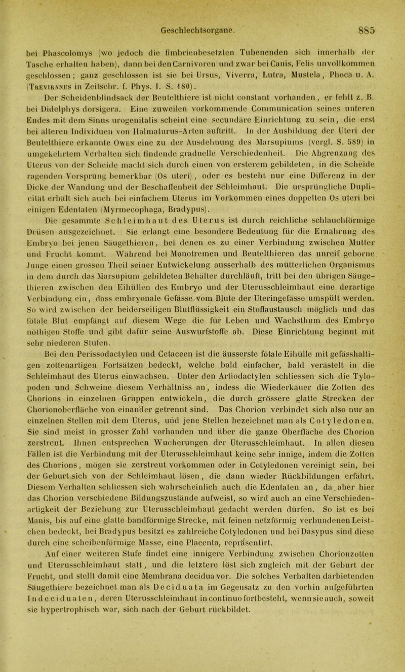 bei Phascolorays (wo jedoch die fimbrienbesetzten Tubenenden sich innerhalb der Tasche erhalten haben), dann bei den Carnivoren und zwar bei Canis, Felis unvollkommen geschlossen; ganz geschlossen ist sie bei Ursus, Viverra, Lulra, Muslela, Phoca u. A. (Tkeviranus in Zeitsehr. f. Phys. I. S. 180). Der Scheidenblindsack der Beutelthicre ist nicht constant vorhanden, er fehlt z. B. bei Didelphys dorsigera. Eine zuweilen vorkommende Communication seines unteren Endes mit dem Sinus urogenitalis scheint eine secundare Einrichtung zu sein, die erst bei älteren Individuen von Halmaturus-Artcn auftritt. In der Ausbildung der Uteri der Beutelthicre erkannte Owen eine zu der Ausdehnung des Marsupiums (vcrgl. S. 589) in umgekehrtem Verhalten sich findende graduelle Verschiedenheit. Die Abgrenzung des Uterus von der Scheide macht sich durch einen von ersterem gebildeten, in die Scheide ragenden Vorsprung bemerkbar (Os uteri), oder es besteht nur eine Differenz in der Dicke der Wandung und der Beschaffenheit der Schleimhaut. Die ursprüngliche Dupli- cilät erhält sich auch bei einfachem Uterus im Vorkommen eines doppelten Os uteri bei einigen Edentalen (Myrmecophaga, Bradypus). Die gesammte Schleimhaut des Uterus ist durch reichliche schlauchförmige Drüsen ausgezeichnet. Sie erlangt eine besondere Bedeutung für die Ernährung des Embryo bei jenen Säugethieren, bei denen es zu einer Verbindung zwischen Mutier und Frucht kommt. Während bei Monotrcmen und Beutelthieren das unreif geborne Junge einen grossen Theil seiner Entwickelung ausserhalb des mütterlichen Organismus in dem durch das Marsupium gebildeten Behälter durchläuft, tritt bei den übrigen Säuge- thieren zwischen den Eiliüllen des Embryo und der Uterusschleimhaut eine derartige Verbindung ein, dass embryonale Gefässc vom Blute der Uteringefässe umspült werden. So wird zwischen der beiderseitigen Blutflüssigkeit ein Stoflaustausch möglich und das fötale Blut empfängt auf diesem Wege die für Leben und Wachsthum des Embryo nölhigen Stoffe und gibt dafür seine Auswurfstoffe ab. Diese Einrichtung beginnt mit sehr niederen Stufen. Bei den Perissodactylen und Cetaceen ist die äusserste fötale Eihülle mit gefässhalti- gen zottenartigen Fortsätzen bedeckt, welche bald einfacher, bald verästelt in die Schleimhaut des Uterus einwachsen. Unter den Artiodactylen schliessen sich die Tylo- poden und Schweine diesem Verhältniss an, indess die Wiederkäuer die Zotten des Chorions in einzelnen Gruppen entwickeln, die durch grössere glatte Strecken der Chorionoberfläche von einander getrennt sind. Das Chorion verbindet sich also nur an einzelnen Stellen mit dem Uterus, und jene Stellen bezeichnet man als Cotyledonen. Sie sind meist in grosser Zahl vorhanden und über die ganze Oberfläche des Chorion zerstreut. Ihnen entsprechen Wucherungen der Uterusschleimhaut. In allen diesen Fällen ist die Verbindung mit der Uterusschleimhaut keine sehr innige, indem die Zotten des Chorions, mögen sie zerstreut Vorkommen oder in Cotyledonen vereinigt sein, bei der Geburt sich von der Schleimhaut lösen , die dann wieder Rückbildungen erfährt. Diesem Verhallen schliessen sich wahrscheinlich auch die Edentaten an, da.aber hier das Chorion verschiedene Bildungszustände aufweist, so wird auch an eine Verschieden- artigkeit der Beziehung zur Uterusschleimhaut gedacht werden dürfen. So ist es bei Monis, bis auf eine glatte bandförmige Strecke, mit feinen netzförmig verbundenen Leist- chen bedeckt, bei Bradypus besitzt es zahlreiche Cotyledonen und beiDasvpus sind diese durch eine scheibenförmige Masse, eine Placenta, reprasenlirt. Auf einer weiteren Stufe findet eine innigere Verbindung zwischen Chorionzotten und Uterusschleimhaut statt, und die letztere löst sich zugleich mit der Geburt der Frucht, und stellt damit eine Membrana dccidua vor. Die solches Verhalten darbietenden Säugelhiere bezeichnet man als De cid u a ta im Gegensatz zu den vorhin aufgeführten I n d e c id ua te n , deren Utcrusschlcimhaut in continuo fortbesteht, wcnnsieauch, soweit sie hypertrophisch war, sich nach der Geburt rückbildet.