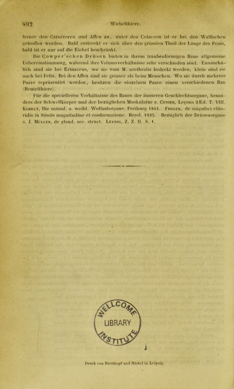 ferner den Cnrnivorpn und AfTen zu , unter den Cetaeeen ist er bei den Walfisehen getroffen worden. Bald erstreckt er sich über den grössten Thcil der Länge des Penis, bald ist er nur auf (tie Eichel beschränkt. Die Cowpe r’schen Drüsen bieten in ihrem traubenförmigen Baue allgemeine Ucbereinstimmung, während ihre Volumsverhältnissc sehr verschieden sind. Unansehn- lich sind sie bei Erinaceus, wo sic vom M. urclhralis bedeckt werden, klein sind sie auch bei Felis. Bei den Affen sind sic grösser als beim Menschen. Wo sic durch mehrere Paare repräsenlirt werden, besitzen die einzelnen Paare einen verschiedenen Bau (Beutelthiere). Für die spceiellcrcn Verhältnisse des Baues der äusseren Geschlechtsorgane, beson- ders der Schwellkörper und der bezüglichen Muskulatur s. Cuvier, Legons 2Ed. T. VUI. Kobelt, Die männl. u. weilG Wollustorgane. Freiburg 1844. Fugger, de singulari clito- ridis in Simiis magnitudine el conformatione. Berol. 183f>. Bezüglich der Drüsenorgane s. J. Müller, de gland. sec. struct. Leydig, Z. Z. II. S. 1. J Druck von Breitkopf und Härtel in Leipzig.