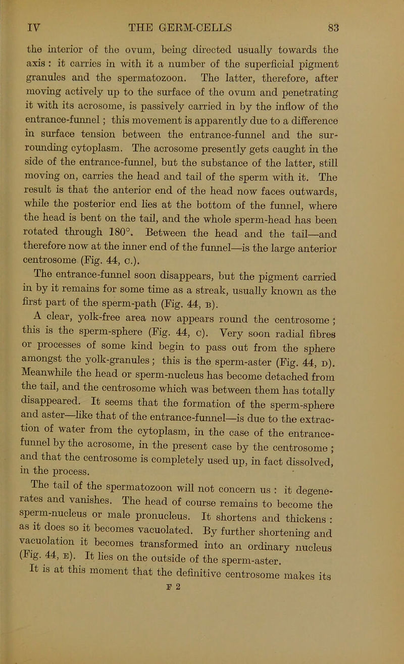 the ulterior of the ovum, being directed usually towards the axis : it carries in with it a number of the superficial pigment granules and the spermatozoon. The latter, therefore, after moving actively up to the surface of the ovum and penetrating it with its acrosome, is passively carried hi by the inflow of the entrance-funnel; this movement is apparently due to a difference in surface tension between the entrance-funnel and the sur- rounding cytoplasm. The acrosome presently gets caught hi the side of the entrance-funnel, but the substance of the latter, still movhig on, carries the head and tail of the sperm with it. The result is that the anterior end of the head now faces outwards, while the posterior end lies at the bottom of the funnel, where the head is bent on the tail, and the whole sperm-heacl has been rotated through 180°. Between the head and the tail—and therefore now at the inner end of the funnel—is the large anterior centrosome (Fig. 44, c.). The entrance -funnel soon disappears, but the pigment carried in by it remains for some time as a streak, usually known as the first part of the sperm-path (Fig. 44, b). A clear, yolk-free area now appears round the centrosome ; this is the sperm-sphere (Fig. 44, c). Very soon radial fibres or processes of some kind begin to pass out from the sphere amongst the yolk-granules; this is the sperm-aster (Fig. 44, d). Meanwhile the head or sperm-nucleus has become detached from the tail, and the centrosome which was between them has totally disappeared. It seems that the formation of the sperm-sphere and aster—like that of the entrance-funnel—is due to the extrac- tion of water from the cytoplasm, hi the case of the entrance- funnel by the acrosome, in the present case by the centrosome ; and that the centrosome is completely used up, in fact dissolved, in the process. The tail of the spermatozoon will not concern us : it degene- rates and vanishes. The head of course remains to become the sperm-nucleus or male pronucleus. It shortens and thickens : as it does so it becomes vacuolated. By further shortening and vacuolation it becomes transformed into an ordinary nucleus (Fig. 44, e). It lies on the outside of the sperm-aster. It is at this moment that the definitive centrosome makes its