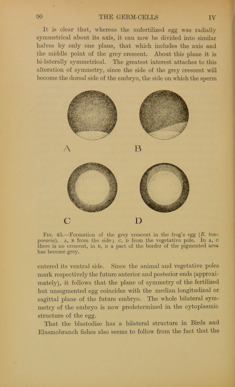 It is clear that, whereas the unfertilized egg was radially symmetrical about its axis, it can now be divided into similar halves by only one plane, that which includes the axis and the middle point of the grey crescent. About this plane it is bi-laterally symmetrical. The greatest interest attaches to this alteration of symmetry, since the side of the grey crescent will become the dorsal side of the embryo, the side on which the sperm A B C D Fig. 45.—Formation of the grey crescent in the frog’s egg (R. tern- for aria). A, b from the side; c, D from the vegetative pole. In a, c there is no crescent, in B, d a part of the border of the pigmented area has become grey. entered its ventral side. Since the animal and vegetative poles mark respectively the future anterior and posterior ends (approxi- mately), it follows that the plane of symmetry of the fertilized but unsegmented egg coincides with the median longitudinal or sagittal plane of the future embryo. The whole bilateral sym- metry of the embryo is now predetermined in the cytoplasmic structure of the egg. That the blastodisc has a bilateral structure in Birds and Elasmobranch fishes also seems to follow from the fact that the