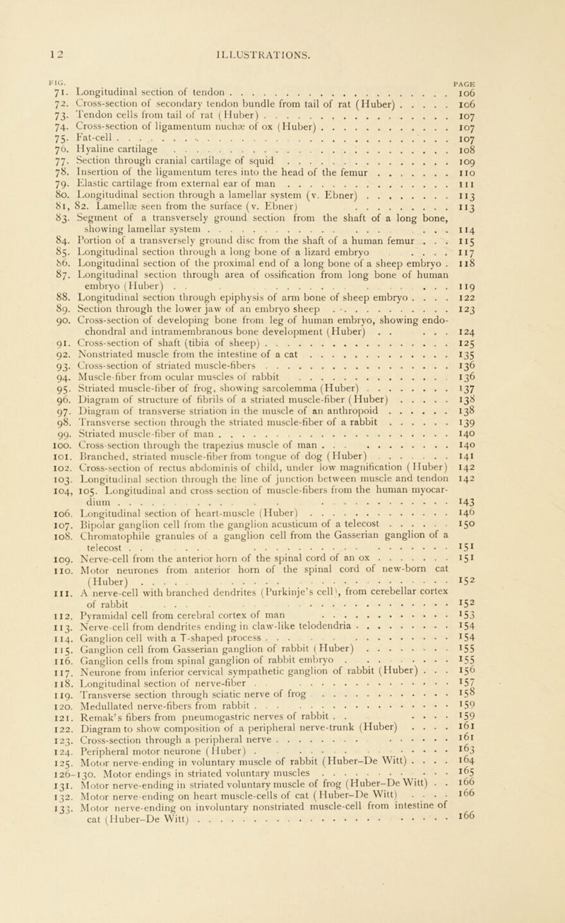 FIG. PAGE 71. Longitudinal section of tendon 106 72. Cross-section of secondary tendon bündle from tail of rat (Huber) 106 73. Tendon cells from tail of rat (Huber) , 107 74. Cross-section of ligamentum nuchae of ox (Huber) 107 75. Fat-cell 107 76. Hyaline cartilage 108 77. Section through cranial cartilage of squid 109 78. Insertion of the ligamentum teres into the head of the femur ....... 110 79. Elastic cartilage from external ear of man 111 80. Longitudinal section through a lamellar System (v. Ebner) 113 81. 82. Lamellae seen from the surface (v. Ebner) 113 83. Segment of a transversely ground section from the shaft of a long bone, showing lamellar System .... . . , . 114 84. Portion of a transversely ground disc from the shaft of a human femur ... 115 85. Longitudinal section through a long bone of a lizard embryo .... 117 86. Longitudinal section of the proximal end of a long bone of a sheep embryo . 118 87. Longitudinal section through area of ossification from long bone of human embryo (Huber) . . . . . 119 88. Longitudinal section through epiphysis of arm bone of sheep embryo .... 122 89. Section through the lower jaw of an embryo sheep . • , . 123 90. Cross-section of developing bone from leg of human embryo, showing endo- chondral and intramembranous bone development (Pluber) . . ... 124 91. Cross-section of shaft (tibia of sheep) 125 92. Nonstriated muscle from the intestine of a cat 135 93. Cross-section of striated muscle-fibers 136 94. Muscle-fiber from ocular muscles of rabbit 136 95. Striated muscle-fiber of frog, showing sarcolemma (Huber) 137 96. Diagram of structure of fibrils of a striated muscle-fiber (Huber) 138 97. Diagram of transverse striation in the muscle of an anthropoid 138 98. Transverse section through the striated muscle-fiber of a rabbit 139 99. Striated muscle-fiber of man 140 100. Cross-section through the trapezius muscle of man 140 101. Branched, striated muscle-fiber from tongue of dog (Pluber) 141 102. Cross-section of rectus abdominis of child, under low magnification (Huber) 142 103. Longitudinal section through the line of junction between muscle and tendon 142 104. 105. Longitudinal and cross-section of muscle-fibers from the human myocar- dium 143 106. Longitudinal section of heart-muscle (Huber) 146 107. Bipolar ganglion cell from the ganglion acusticum of a telecost 150 108. Chromatophile granules of a ganglion cell from the Gasserian ganglion of a telecost *5* 109. Nerve-cell from the anterior horn of the spinal cord of an ox 151 110. Motor neurones from anterior horn of the spinal cord of new-born cat (Huber) I52 111. A nerve-cell with branched dendrites (Purkinje’s cell', from cerebellar cortex of rabbit ... I52 112. Pyramidal cell from cerebral cortex of man 153 113. Nerve-cell from dendrites ending in claw-like telodendria J54 114. Ganglion cell with a T-shaped process *54 115. Ganglion cell from Gasserian ganglion of rabbit (Huber) 155 116. Ganglion cells from spinal ganglion of rabbit embryo . . 155 117. Neurone from inferior cervical sympathetic ganglion of rabbit (Huber) . . . 156 118. Longitudinal section of nerve-fiber . . *57 119. Transverse section through sciatic nerve of frog *5^ 120. Medullated nerve-fibers from rabbit *59 121. Remak’s fibers from pneumogastric nerves of rabbit. . .... 159 122. Diagram to show composition of a peripheral nerve-trunk (Huber) .... 161 123. Cross-section through a peripheral nerve 124. Peripheral motor neurone (Huber) • *°3 125. Motor nerve-ending in voluntary muscle of rabbit (Huber-De Witt) .... 164 126-130. Motor endings in striated voluntary muscles • • • I(^5 131. Motor nerve-ending in striated voluntary muscle of frog (Huber-De Witt) . . 166 132. Motor nerve-ending on heart muscle-cells of cat (Huber-De Witt) .... 166 133. Motor nerve-ending on involuntary nonstriated muscle-cell from intestine of cat (Huber-De Witt)