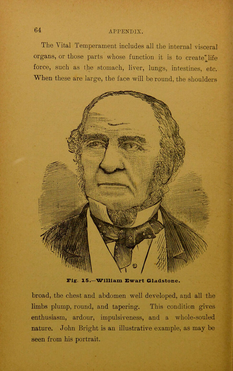The Vital Temperament includes all the internal visceral organs, or those parts whose function it is to create'life force, such as the stomach, liver, lungs, intestines, etc. When these are large, the face will be round, the shoulders Fig\ 15.—William Ewart Gladstone. broad, the chest and abdomen well developed, and all the limbs plump, round, and tapering. This condition gives enthusiasm, ardour, impulsiveness, and a whole-souled nature. John Bright is an illustrative example, as may be seen from his portrait.