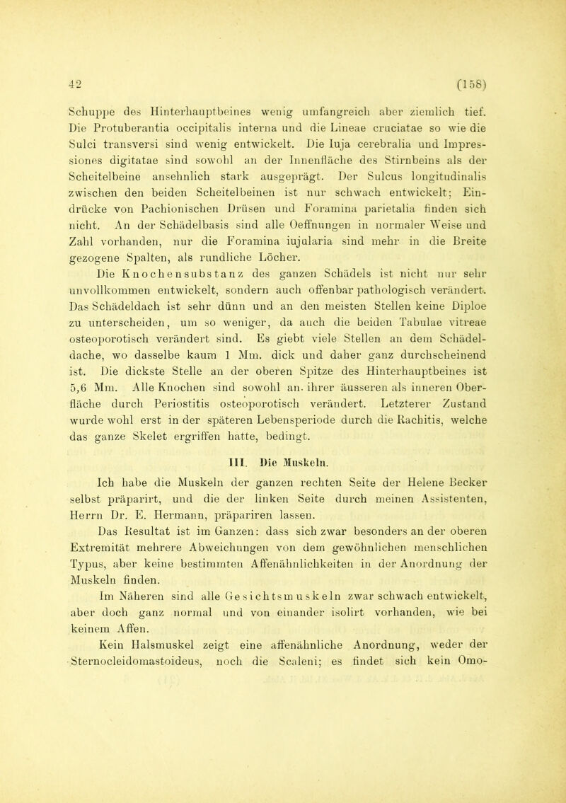 Schuppe des Hinterhauptbeines wenig umfangreich aber ziemlich tief. Die Protuberantia occipitalis interna und die Lineae cruciatae so wie die Sulci transversi sind wenig entwickelt. Die Iuja cerebralia und Impres- siones digitatae sind sowohl an der Innenfläche des Stirnbeins als der Scheitelbeine ansehnlich stark ausgeprägt. Der Sulcus longitudinalis zwischen den beiden Scheitelbeinen ist nur schwach entwickelt; Ein- drücke von Pachionischen Drüsen und Foramina parietalia finden sich nicht. An der Schädelbasis sind alle Oeffnungen in normaler Weise und Zahl vorhanden, nur die Foramina iujularia sind mehr in die Breite gezogene Spalten, als rundliche Löcher. Die Knochensubstanz des ganzen Schädels ist nicht nur sehr unvollkommen entwickelt, sondern auch offenbar pathologisch verändert. Das Schädeldach ist sehr dünn und an den meisten Stellen keine Diploe zu unterscheiden, um so weniger, da auch die beiden Tabulae vitreae osteoporotisch verändert sind. Es giebt viele Stellen an dem Schädel- dache, wo dasselbe kaum 1 Mm. dick und daher ganz durchscheinend ist. Die dickste Stelle an der oberen Spitze des Hinterhauptbeines ist 5,6 Mm. Alle Knochen sind sowohl an. ihrer äusseren als inneren Ober- fläche durch Periostitis osteoporotisch verändert. Letzterer Zustand wurde wohl erst in der späteren Lebensperiode durch die Rachitis, welche das ganze Skelet ergriffen hatte, bedingt. III. Die Muskeln. Ich habe die Muskeln der ganzen rechten Seite der Helene Becker selbst präparirt, und die der linken Seite durch meinen Assistenten, Herrn Dr. E. Hermann, präpariren lassen. Das Resultat ist im Ganzen: dass sich zwar besonders an der oberen Extremität mehrere Abweichungen von dem gewöhnlichen menschlichen Typus, aber keine bestimmten Affenähnlichkeiten in der Anordnung der Muskeln finden. Im Näheren sind alle Ge si chtsm u sk ein zwar schwach entwickelt, aber doch ganz normal und von einander isolirt vorhanden, wie bei keinem Affen. Kein Halsmuskel zeigt eine affenähnliche Anordnung, weder der • Sternocleidomastoideus, noch die Scaleni; es findet sich kein Omo-