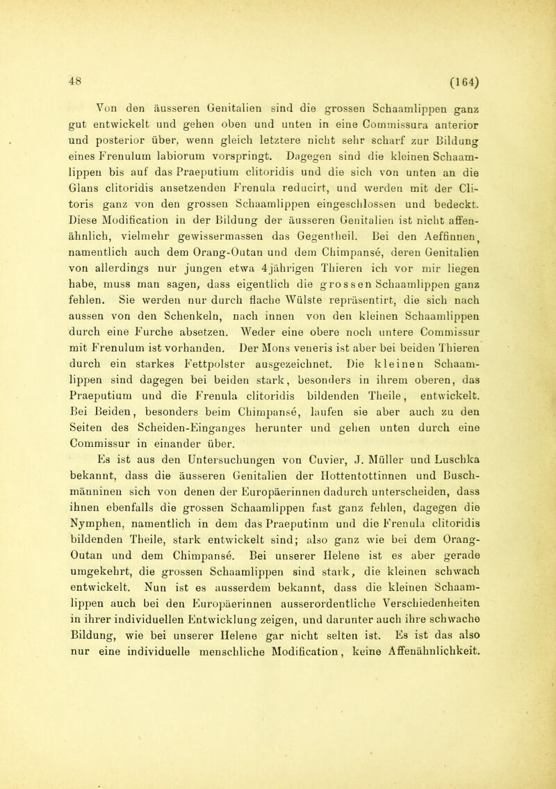 Von den äusseren Genitalien sind die grossen Schaamlippen ganz gut entwickelt und gehen oben und unten in eine Commissura anterior und posterior über, wenn gleich letztere nicht sehr scharf zur Bildung eines Frenulum labiorum vorspringt. Dagegen sind die kleinen Schaam- lippen bis auf das Praeputium clitoridis und die sich von unten an die Glans clitoridis ansetzenden Frenula reducirt, und werden mit der Cli- toris ganz von den grossen Schaamlippen eingeschlossen und bedeckt. Diese Modification in der Bildung der äusseren Genitalien ist nicht affen- ähnlich, vielmehr gewissermassen das Gegentlieil. Bei den Aeffinnent namentlich auch dem Orang-Outan und dem Chimpanse, deren Genitalien von allerdings nur jungen etwa 4jährigen Thieren ich vor mir liegen habe, muss man sagen, dass eigentlich die grossen Schaamlippen ganz fehlen. Sie werden nur durch flache Wülste repräsentirt, die sich nach aussen von den Schenkeln, nach innen von den kleinen Schaamlippen durch eine Furche absetzen. Weder eine obere noch untere Commissur mit Frenulum ist vorhanden. Der Mons veneris ist aber bei beiden Thieren durch ein starkes Fettpolster ausgezeichnet. Die kleinen Schaam- lippen sind dagegen bei beiden stark, besonders in ihrem oberen, das Praeputium und die Frenula clitoridis bildenden Theile, entwickelt. Bei Beiden, besonders beim Chimpanse, laufen sie aber auch zu den Seiten des Scheiden-Einganges herunter und gehen unten durch eine Commissur in einander über. Es ist aus den Untersuchungen von Cuvier, J. Müller und Luschka bekannt, dass die äusseren Genitalien der Hottentottinnen und Busch- männinen sich von denen der Europäerinnen dadurch unterscheiden, dass ihnen ebenfalls die grossen Schaamlippen fast ganz fehlen, dagegen die Nymphen, namentlich in dem das Praeputinm und die Frenula clitoridis bildenden Theile, stark entwickelt sind; also ganz wie bei dem Orang- Outan und dem Chimpanse. Bei unserer Ilelene ist es aber gerade umgekehrt, die grossen Schaamlippen sind stark, die kleinen schwach entwickelt. Nun ist es ausserdem bekannt, dass die kleinen Schaam- lippen auch bei den Europäerinnen ausserordentliche Verschiedenheiten in ihrer individuellen Entwicklung zeigen, und darunter auch ihre schwache Bildung, wie bei unserer Helene gar nicht selten ist. Es ist das also nur eine individuelle menschliche Modification, keine Affeuähnlichkeit.