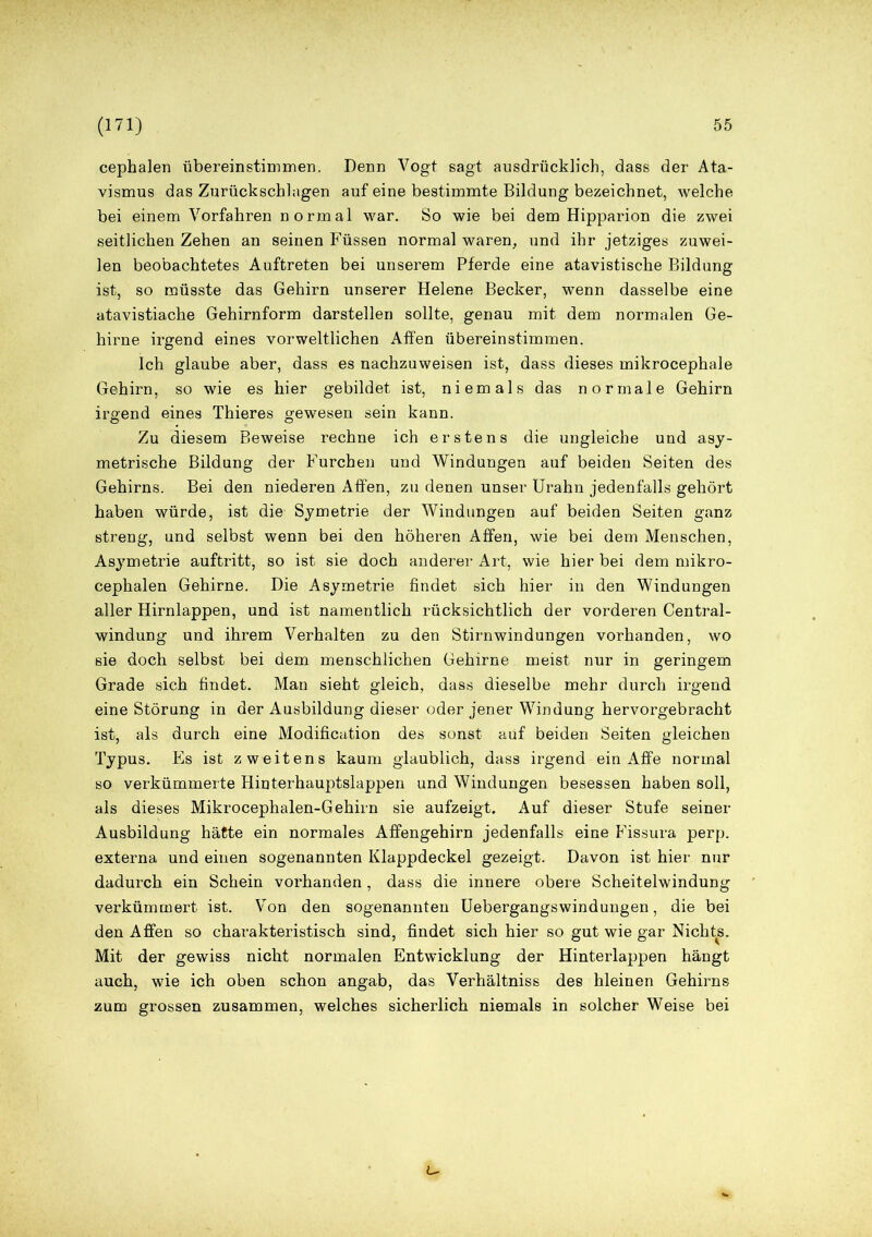 cephalen übereinstimmen. Denn Vogt sagt ausdrücklich, dass der Ata- vismus das Zurückschlagen auf eine bestimmte Bildung bezeichnet, welche bei einem Vorfahren normal war. So wie bei dem Hipparion die zwei seitlichen Zehen an seinen Füssen normal waren, und ihr jetziges zuwei- len beobachtetes Auftreten bei unserem Pferde eine atavistische Bildung ist, so müsste das Gehirn unserer Helene Becker, wenn dasselbe eine atavistiache Gehirnform darstellen sollte, genau mit dem normalen Ge- hirne irgend eines vorweltlichen Affen übereinstimmen. Ich glaube aber, dass es nachzuweisen ist, dass dieses mikrocephale Gehirn, so wie es hier gebildet ist, niemals das normale Gehirn irgend eines Thieres gewesen sein kann. Zu diesem Beweise rechne ich erstens die ungleiche und asy- metrische Bildung der Furchen und Windungen auf beiden Seiten des Gehirns. Bei den niederen Affen, zu denen unser Urahn jedenfalls gehört haben würde, ist die Symetrie der Windungen auf beiden Seiten ganz streng, und selbst wenn bei den höheren Affen, wie bei dem Menschen, Asymetrie auftritt, so ist sie doch anderer Art, wie hier bei dem mikro- cephalen Gehirne. Die Asymetrie findet sich hier in den Windungen aller Hirnlappen, und ist namentlich rücksichtlich der vorderen Central- windung und ihrem Verhalten zu den Stirnwindungen vorhanden, wo sie doch selbst bei dem menschlichen Gehirne meist nur in geringem Grade sich findet. Man sieht gleich, dass dieselbe mehr durch irgend eine Störung in der Ausbildung dieser oder jener Windung hervorgebracht ist, als durch eine Modificution des sonst auf beiden Seiten gleichen Typus. Es ist zweitens kaum glaublich, dass irgend ein Affe normal so verkümmerte Hinterhauptslappen und Windungen besessen haben soll, als dieses Mikrocephalen-Gehirn sie aufzeigt. Auf dieser Stufe seiner Ausbildung hätte ein normales Affengehirn jedenfalls eine Fissura perp. externa und einen sogenannten Klappdeckel gezeigt. Davon ist hier nur dadurch ein Schein vorhanden, dass die innere obere Scheitelwindung verkümmert ist. Von den sogenannten Uebergangswindungen, die bei den Affen so charakteristisch sind, findet sich hier so gut wie gar Nichts. Mit der gewiss nicht normalen Entwicklung der Hinterlappen hängt auch, wie ich oben schon angab, das Verhältniss des hieinen Gehirns zum grossen zusammen, welches sicherlich niemals in solcher Weise bei