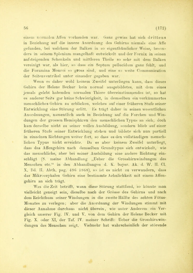 einem normalen Affen vorhanden war. Ganz gewiss hat sich drittens in Beziehung auf die innere Anordnung des Gehirns niemals eine Affe gefunden, bei welchem der Balken in so eigenthümlicher Weise, beson- ders in seinem Splenium mangelhaft entwickelt undderFornix inseinen aufsteigenden Schenkeln und mittleren Theile so sehr mit dem Balken vereinigt war, als hier, so dass ein Septum pellucidum ganz fehlt, und. die Foramina Monroi so gross sind, und eine so weite Communication der Seitenventrikel unter einander gegeben war. Wenn es daher wohl keinem Zweifel unterliegen kann, dass dieses Gehirn der Helene Becker kein normal ausgebildetes, mit dem eines jemals gelebt habenden normalen Thiere übereinstimmendes ist, so hat es anderer Seits gar keine Schwierigkeit, in demselben ein verkümmertes menschliches Gehirn zu erblicken, welches auf einer früheren Stufe seiner Fmtwicklung eine Störung erlitt. Es trägt daher in seinen wesentlichen Anordnungen, namentlich auch in Beziehung auf die Furchen und Win- dungen der grossen Hemisphären den menschlichen Typus an sich; doch kam derselbe nicht zu seiner vollen Ausbildung, sondern blieb auf einer früheren Stufe seiner Entwicklung stehen und bildete sich nun partiell in einzelnen Richtungen weiter fort, so dass es den vollständigen mensch- lichen Typus nicht erreichte. Da es aber keinem Zweifel unterliegt, dass das Affengehirn nach demselben Grundtypus sich entwickelt, wie das menschliche, aber bei seiner Ausbildung eine andere Richtung ein- schlägt (S. meine Abhandlung „Ueber die Grosshirnwindungen des Menschen etc.“ in den Abhandlungen d. K. bayer. Ak. d. W. II. CI. X. Bd. II. Abth. pag. 486 1868), so ist es nicht zu verwundern, dass das Mikrocephalen Gehirn eine bestimmte Aehnlichkeit mit einem Affen- gehirn an sich trägt. Was die Zeit betrifft, wann diese Störung stattfand, so könnte man vielleicht geneigt sein, dieselbe nach der Grösse des Gehirns und nach dem Reichthum seiner Windungen in die zweite Hälfte des achten Fötus- Monates zu verlegen; aber die Anordnung der Windungen stimmt mit dieser Annahme durchaus nicht überein, wie unter Anderem ein Ver- gleich unserer Fig. IV. und V. von dem Gehirn der Helene Becker mit Fig. X. oder XI. der Taf. IV. meiner Schrift: Ueber die Grosshiruwin- dungen des Menschen zeigt. Vielmehr hat wahrscheinlich der störende