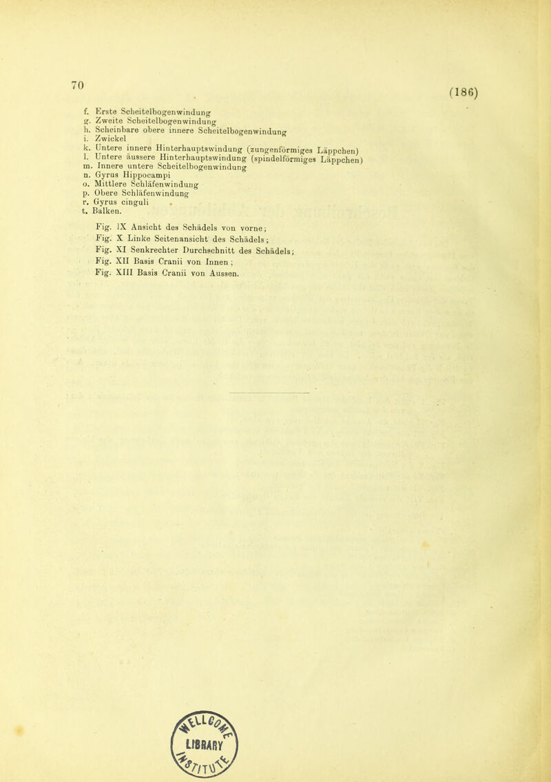 (186) f. Erste Scheitelbogenwindung g. Zweite Scheitelbogenwindung h. Scheinbare obere innere Scheitelbogenwindung i. Zwickel k. Untere innere Hinterhauptswindung (zungenförmiges Läppchen) l. Untere äussere Hinterhauptswindung (spindelförmiges Läppchen) m. Innere untere Scheitelbogenwindung n. Gyrus Hippocampi o. Mittlere Schläfenwindung p. Obere Schläfenwindung r. Gyrus cinguli t. Balken. Fig. IX Ansicht des Schädels von vorne; Fig. X Linke Seitenansicht des Schädels; Fig. XI Senkrechter Durchschnitt des Schädels; Fig. XII Basis Cranii von Innen ; Fig. XIII Basis Cranii von Aussen.