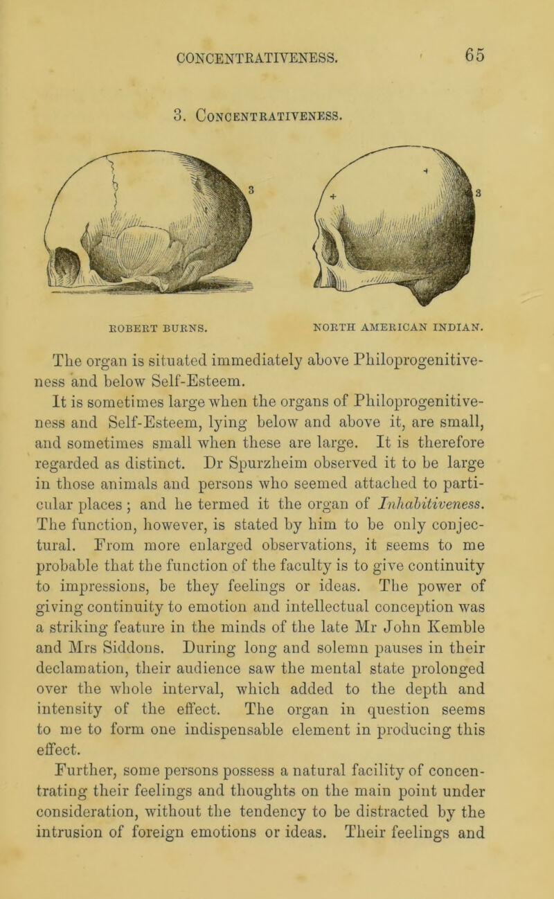 3. CoNCENTRATIVENESS. ROBERT BURNS. NORTH AMERICAN INDIAN. The organ is situated immediately above Philoprogenitive- ness and below Self-Esteem. It is sometimes large when the organs of Philoprogenitive- ness and Self-Esteem, lying below and above it, are small, and sometimes small when these are large. It is therefore regarded as distinct. Dr Spurzheim observed it to be large in those animals and persons who seemed attached to parti- cular places ; and he termed it the organ of Inliabitiveness. The function, however, is stated by him to be only conjec- tural. From more enlarged observations, it seems to me probable that the function of the faculty is to give continuity to impressions, be they feelings or ideas. The power of giving continuity to emotion and intellectual conception was a striking feature in the minds of the late Mr John Kemble and Mrs Siddons. During long and solemn pauses in their declamation, their audience saw the mental state prolonged over the whole interval, which added to the depth and intensity of the effect. The organ in question seems to me to form one indispensable element in producing this effect. Further, some persons possess a natural facility of concen- trating their feelings and thoughts on the main point under consideration, without the tendency to he distracted by the intrusion of foreign emotions or ideas. Their feelings and