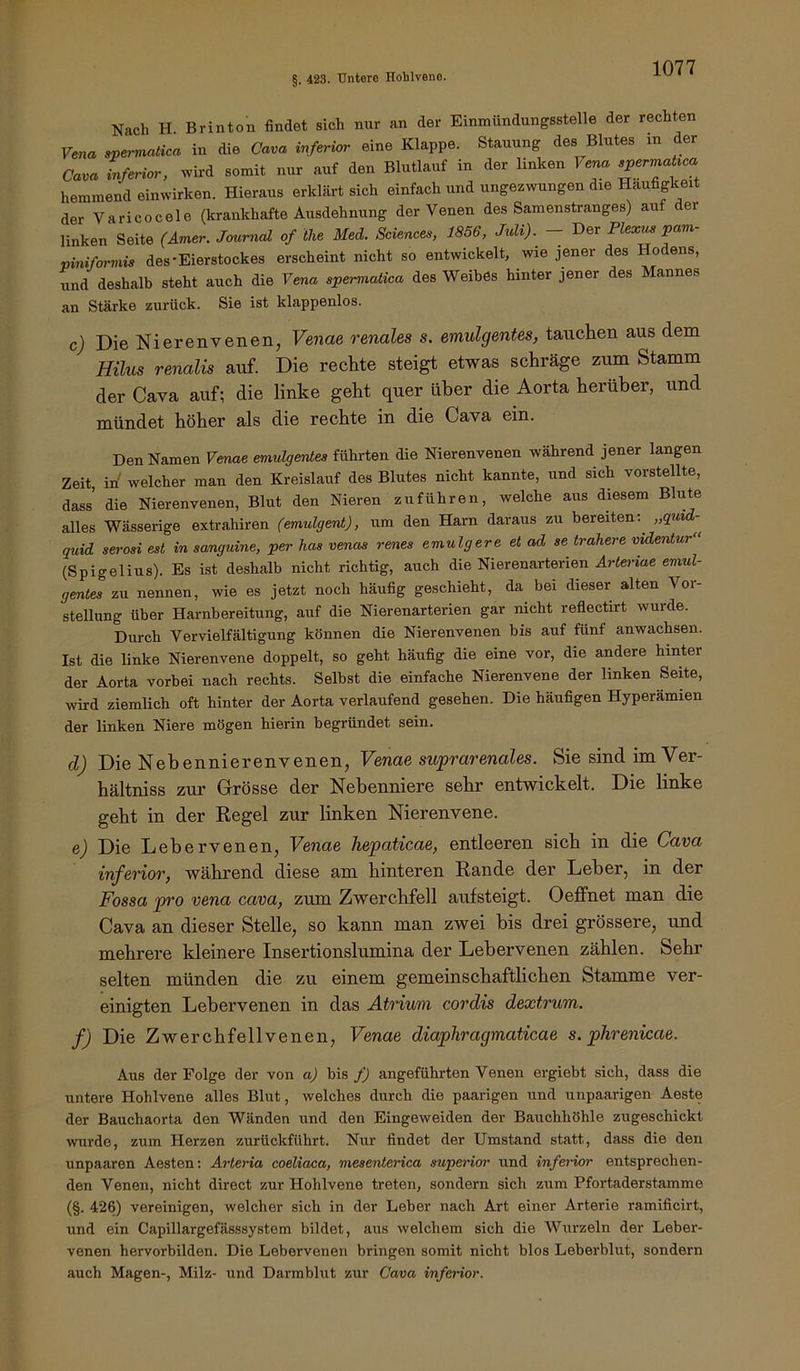 Nach H. Brinton findet sich nur an der Einmündungsstelle der rechten Vena epei-malica in die Cava inferior eine Klappe. Stauung des Blutes in der (7an« iferior, wird somit nur auf den Blutlauf in der linken Vena spermaUca hemmend einwirken. Hieraus erklärt sich einfach und ungezwungen die Häufigkeit der Varicocele (krankhafte Ausdehnung der Venen des Samenstranges) auf der linken Seite (Amer. Journal of ihe Med. Science., 1856, Juli). - Der pam- Viniformis des'Eierstockes erscheint nicht so entwickelt, wie jener des Hodens, und deshalb steht auch die Vena spermatica des WeibOs hinter jener des Mannes an Stärke zurück. Sie ist klappenlos. c) Die Nierenvenen, Venae renales s. emulgentes, tauchen aus dem Hilus renalis auf. Die rechte steigt etwas schräge zum Stamm der Cava auf; die linke geht quer über die Aorta herüber, und mündet höher als die rechte in die Cava ein. Den Namen Venae emulgentes führten die Nierenvenen während jener langen Zeit, in' welcher man den Kreislauf des Blutes nicht kannte, und sich vorstellte, dass’ die Nierenvenen, Blut den Nieren zu führen, welche aus diesem Blute alles Wässerige extrahiren (emulgent), um den Harn daraus zu bereiten.^ „qui quid serosi est in sanguine, per has venös renes emulgere et ad se trahere videntur“ (Spigelius). Es ist deshalb nicht richtig, auch die Nierenarterien Arieriae emul- gentes zu nennen, wie es jetzt noch häufig geschieht, da bei dieser alten Vor- stellung über Harnbereitung, auf die Nierenarterien gar nicht reflectirt wurde. Durch Vervielfältigung können die Nierenvenen bis auf fünf anwachsen. Ist die linke Nierenvene doppelt, so geht häufig die eine vor, die andere hinter der Aorta vorbei nach rechts. Selbst die einfache Nierenvene der linken SeÜe, wird ziemlich oft hinter der Aorta verlaufend gesehen. Die häufigen Hyperämien der linken Niere mögen hierin begründet sein. d) Die Nebennierenvenen, Venae suprarenales. Sie sind im Ver- hältniss zm’ Grösse der Nebenniere sehr entwickelt. Die linke geht in der Regel zur linken Nierenvene. e) Die Lebervenen, Venae hepaticae, entleeren sich in die Cava inferior, während diese am hinteren Rande der Leber, in der Fossa pro vena cava, zum Zwerchfell aufsteigt. Oeffnet man die Cava an dieser Stelle, so kann man zwei bis drei grössere, und mehrere kleinere Insertionslumina der Lebervenen zählen. Sehr selten münden die zu einem gemeinschaftlichen Stamme ver- einigten Lebervenen in das Atrium cordis dextrum. f) Die Zwerchfellvenen, Venae diaphragmaticae s. phrenicae. Aus der Folge der von a) bis fj angeführten Venen ergiebt sich, dass die untere Hohlvene alles Blut, welches durch die paarigen und unpaarigen Aeste der Bauchaorta den Wänden und den Eingeweiden der Bauchhöhle zugeschickt wurde, zum Herzen zurückführt. Nur findet der Umstand statt, dass die den unpaaren Aesten; Arteria coeliaca, mesenterica superior und inferior entsprechen- den Venen, nicht direct zur Hohlvene treten, sondern sich zum Pfortaderstamme (§. 426) vereinigen, welcher sich in der Leher nach Art einer Arterie ramificirt, und ein Capillargefässsystem bildet, aus welchem sich die Wurzeln der Leber- venen hervorbilden. Die Lebervenen bringen somit nicht blos Leberblut, sondern auch Magen-, Milz- und Darmblut zur Cava inferi,or.