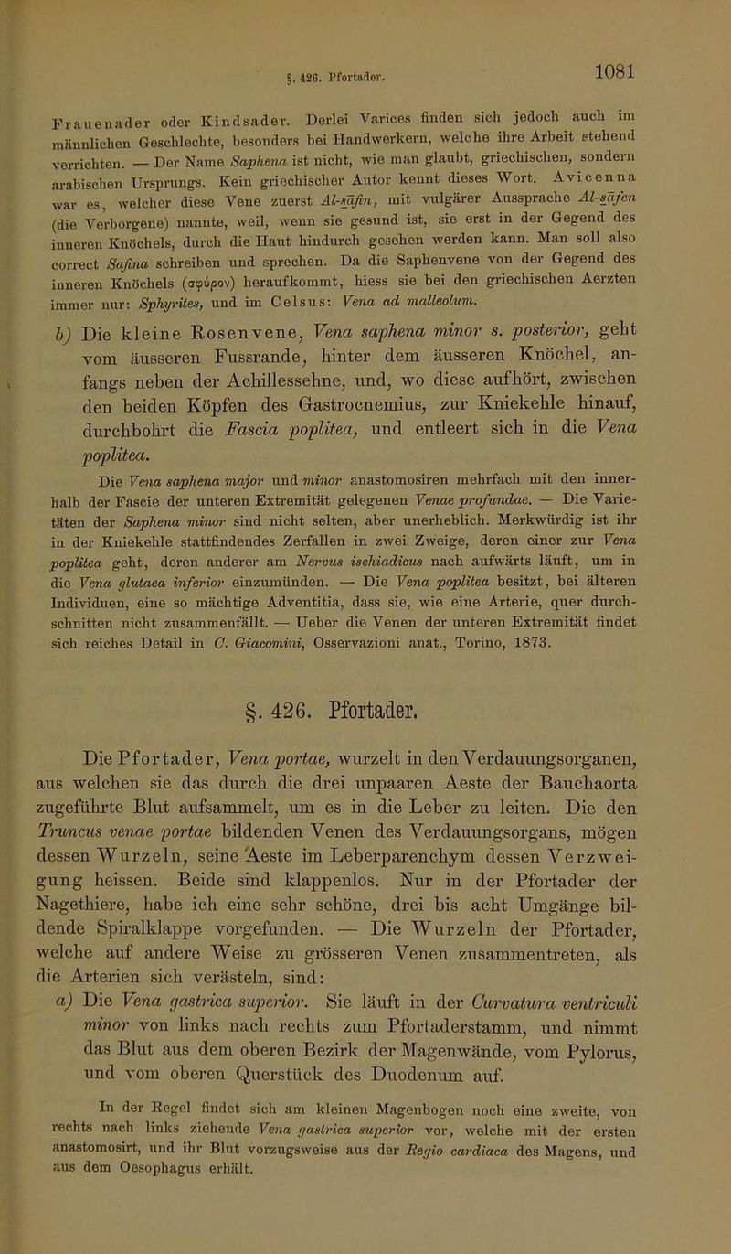 §. 426. Pfortader. Fraueiuuler oder Kindsader. Derlei Varices finden sich jedoch auch im männlichen Geschlechte, besonders bei Handwerkern, welche ihre Arbeit stehend verrichten. — Der Name Saphena ist nicht, wie man glaubt, griechischen, sondern arabischen Ursprungs. Kein griechischer Autor kennt dieses Wort. Avicenna war es, welcher diese Vene zuerst Äl-mfin, mit vulgärer Aussprache Al-sTtfen (die Verborgene) nanirte, weil, wenn sie gesund ist, sie erst in der Gegend des inneren Knöchels, durch die Haut hindurch gesehen werden kann. Man soll also correct Safina schreiben und sprechen. Da die Saphenvene von der Gegend des inneren Knöchels (acpiipov) herauf kommt, hiess sie bei den griechischen Aerzten immer nur*. SphyviteSf und im Celsust V^ena ad> malleoluni, b) Die kleine Rosenvene, Vena saphena minor s. posterior, geht vom äusseren Fussrande, hinter dem äusseren Knöchel, an- fangs neben der Achillessehne, und, wo diese aufhört, zwischen den beiden Köpfen des Gastrocnemius, zur Kniekehle hinauf, durchbohrt die Fascia poplitea, und entleert sich in die Vena poplitea. Die Vena saphena major und minor anastomosiren mehrfach mit den inner- halb der Fascie der unteren Extremität gelegenen Venae profundae. — Die Varie- täten der Saphena minor sind nicht selten, aber unerheblich. Merkwürdig ist ihr in der Kniekehle stattfindendes Zerfallen in zwei Zweige, deren einer zur Vena poplitea geht, deren anderer am Nervus ischiadicus nach aufwärts läuft, um in die Vena glutaea inferior einzumünden. — Die Vena poplitea besitzt, bei älteren Individuen, eine so mächtige Adventitia, dass sie, wie eine Arterie, quer durch- schnitten nicht zusammenfällt. — Ueber die Venen der unteren Extremität findet sich reiches Detail in C. Giacomini, Osservazioni anat., Torino, 1873. §.426. Pfortader. Die Pfortader, Vena portae, wurzelt in den Verdauungsorganen, aus welchen sie das durch die drei unpaaren Aeste der Bauchaorta zugeführte Blut aufsammelt, um es in die Leber zu leiten. Die den Truncus venae portae bildenden Venen des Verdauungsorgans, mögen dessen Wurzeln, seine Aeste im Leberparenchym dessen Verzwei- gung heissen. Beide sind Idappenlos. Nur in der Pfoi’tader der Nagethiere, habe ich eine sehr schöne, drei bis acht Umgänge bil- dende Spiralklappe vorgefunden. — Die Wurzeln der Pfortader, welche auf andei’e Weise zu grösseren Venen zusammentreten, als die Arterien sich verästeln, sind: a) Die Vena gastrica superior. Sie läuft in der Curvatura ventriculi minor von links nach rechts zum Pfortaderstamm, und nimmt das Blut aus dem oberen Bezirk der Magenwände, vom Pylorus, und vom oberen Querstück des Duodenum auf. In der Regel findet sich am kleinen Magenbogen noch eine zweite, von rechts nach links ziehende Vena gastrica superior vor, welche mit der ersten anastomosirt, und ihr Blut vorzugsweise aus der Regio cardiaca dos Magens, und aus dem Oesophagus erhält.