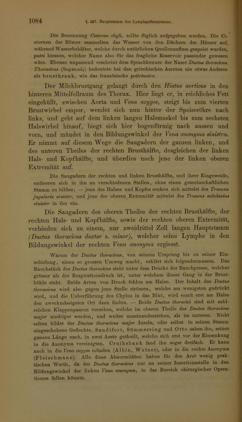 Die Benennung Cistema chyli, sollte füglich aufgegeben werden. Die Ci- stemen der Römer sammelten das Wasser von den Dächern der Häuser auf, während Wasserbehälter, welche durch natürlichen Quellenzufluss gespeist wurden, pulei hiessen, welcher Name also für das fragliche Reservoir passender gewesen wäre. Ebenso unpassend erscheint dem Sprachkenner der Name Dwdua thoradeus. Thoracicua (Owpaxizd;) bedeutete bei den griechischen Aerzten nie etwas Anderes als brustkrank, wie das französische poitrinaire. Der MilcLibrustgang gelangt durch den Hiatus aorticus in den hinteren Mittelfellraum des Thorax. Hier liegt er, in reichliches Fett eingehüllt, zwischen Aorta und Vena azygos, steigt bis zum vierten Brustwirbel empor, wendet sich nun hinter der Speiseröhre nach links, und geht auf dem linken langen Halsmuskel bis zum sechsten Hals4virhel hinauf, biegt sich hier bogenförmig nach aussen und vorn, und mündet in den Bildungswinkel der Vena anonyma sinistra. Er nimmt auf diesem Wege die Saugadern der ganzen linken, und des unteren Th eiles der rechten Brusthälfte, desgleichen der linken Hals- und Kopf hälfte, und überdies noch jene der linken oberen Extremität auf. Die Saugadern der rechten und linken Brusthälfte, und ihrer Eingeweide, entleeren sich in ihn an verschiedenen Stellen, ohne einen gemeinschaftlichen Stamm zu bilden; — jene des Halses und Kopfes senken sich mittelst des Truncus jugularis sinister, und jene der oberen^ Extremität mittelst des Trunais subclavius sinister in ihn ein. Die Saugadern des oberen Theiles der rechten Brusthälfte, der rechten Hals- und Kopfhälfte, sowie der rechten oberen Extremität, verbinden sich zu einem, nur zweidrittel Zoll langen Hauptstamm (Ductus thoracicus dexter s. minor), welcher seine Lymphe in den Bildungswinkel der rechten Vena anonyma ergiesst. Warum der Ductus thoracicus, von seinem Ursprung bis zu seiner Ein- mündung, einen so grossen Umweg macht, erklärt sich folgendermassen. Das Bauchstück des Ductus thoracicus steht unter dem Drucke der Bauchpresse, welcher grösser als der Respirationsdruck ist, unter welchem dieser Gang in der Brust- höhle steht. Beide Arten von Druck fehlen am Halse. Der Inhalt des Ductus thoracicus wird also gegen jene Stelle strömen, welche am wenigsten gedrückt wird, und die Ueberführung des Chylus in das Blut, wird somit erst am Halse den zweckmässigsten Ort dazu finden. — Beide Ductus thoracici sind mit zahl- reichen Klappenpaaren versehen, welche im oberen Theile des Ductus thoracicus major niedriger werden, und weiter auseinanderstehen, als im unteren. Nicht selten bildet der Ductus thoracicus major Inseln, oder selbst in seinen Stamm eingeschobene Geflechte. Sandifort, Sömmerring und Otto sahen ihn, seiner ganzen Länge nach, in zwei Aeste getheilt, welche sich erst vor der Einsenkung in die Anonyma vereinigten. Cruikshank fand ihn sogar dreifach. Er kann auch in die Uen« azy'/os münden (Albin, Wutzer), oder in die rechte Anonyma (Fleischmann). Alle, diese Abnormitäten haben für den Arzt wenig prak- tischen Werth, da der Ductus thoracicus nur an seiner Insertionsstelle in den Bildungswinkel der linken Fe7io anonyma, in das Bereich chirurgischer Opera- tionen fallen könnte.