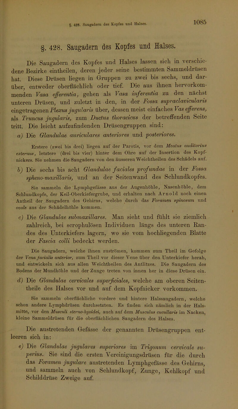 §. 428. Saugadern des Kopfes und Halses. §. 428. Saugadern des Kopfes und Halses. Die Saugadeni des Kopfes und Halses lassen sich in verschie- dene Bezirke eintheilen, deren jeder seine bestimmten Sammeldrüsen hat. Diese Drüsen liegen in Gruppen zu zwei bis sechs^ und dar- über, entweder oberflächlich oder tief. Die aus ihnen hervorkom- menden Vasa efferentia, gehen als Vasa inferentia zu den nächst unteren Drüsen, und zuletzt in den, in der Fossa supraclavicularis eingetragenen HZeccMs über, dessen meist einfaches Vas efferens, als Truncus jugidaris, zum Ductus thoracicus der betreffenden Seite tritt. Die leicht aufzufindenden Drüsengruppen sind: a) Die Glandulae auriculares anteriores und posteriores. Erstere (zwei bis drei) liegen auf der Parotis, vor dem Meatus auditorius extemus, letztere (drei bis vier) hinter dem Ohre auf der Insertion des Kopf- nickers. Sie nehmen die Saugadern von den äusseren Weichtheilen des Schädels auf. h) Die sechs bis acht Glandulae faciales profundae in der Fossa spheno-maxillaris, und an der Seitenwand des Schlundkopfes. Sie sammeln die Lymphgefässe aus der Augenhöhle, Nasenhöhle, dem Schlundkopfe, der Keil-Oberkiefergrube, und erhalten nach Arnold noch einen Antheil der Saugadern des Gehirns, welche durch das Foramen spinosum und ovale aus der Schädelhöhle kommen. c) Die Glandulae submaxillares. Man sieht und fühlt sie ziemlich zahlreich, bei scrophulösen Individuen längs des unteren Ban- des des Unterkiefers lagern, wo sie vom hochliegenden Blatte der Fascia colli bedeckt werden. Die Saugadern, welche ihnen Zuströmen, kommen zum Theil im Gefolge der Vena facialis anterior, zum Theil vor dieser Vene über den Unterkiefer herab, und entwickeln sich aus allen Weichtheilen des Antlitzes. Die Saugadern des Bodens der Mundhöhle und der Zunge treten von innen her in diese Drüsen ein. d) Die Glandulae cerricales superficiales, welche am oberen Seiten- theile des Halses vor und auf dem Kopfnicker Vorkommen. Sie sammeln oberflächliche vordere und hintere Halssaugadern, welche schon andere Lymphdrüsen durchsetzten. Es finden sich nämlich in der Hals- mitte, vor den Musculi sterno-hyoidei, auch auf dem Mtisculus cuadlaria im Nacken, kleine Sammeldrüsen für die oberflächlichen Saugadern des Halses. Die austretenden Gefässe der genannten Drüsengruppen ent- leeren sich in: e) Die Glandulae jugulares superiores im Trigonum cervicale sio- perius. Sie sind die ersten Vereinigungsdrüsen für die dm’ch das Foramen jugulare austretenden Lymphgefässe des Gehirns, und sammeln auch von Schlundkopf, Zunge, Kehlkopf und Schilddrüse Zweige auf.