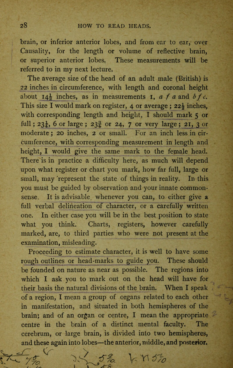 brain, or inferior anterior lobes, and from ear to ear, over Causality, for the length or volume of reflective brain, or superior anterior lobes. These measurements will be referred to in my next lecture. The average size of the head of an adult male (British) is 22 inches in circumference, with length and coronal height about 14J inches, as in measurements 1, a f a and bfc. This size I would mark on register, 4 or average ; 22 J inches, with corresponding length and height, I should mark 5 or full; 23 J, 6 or large ; 23! or 24, 7 or very large; 21, 3 or moderate; 20 inches, 2 or small. For an inch less in cir- cumference, with corresponding measurement in length and height, I would give the same mark to the female head. There is in practice a difficulty here, as much will depend upon what register or chart you mark, how far full, large or small, may 'represent the state of things in reality. In this you must be guided by observation and your innate common- sense. It is advisable, whenever you can, to either give a full verbal delineation of character, or a carefully written one. In either case you will be in the best position to state what you think. Charts, registers, however carefully marked, are, to third parties who were not present at the examination, misleading. Proceeding to estimate character, it is well to have some rough outlines or head-marks to guide you. These should be founded on nature as near as possible. The regions into which I ask you to mark out on the head will have for their basis the natural divisions of the brain. When I speak of a region, I mean a group of organs related to each other in manifestation, and situated in both hemispheres of the brain; and of an organ or centre, I mean the appropriate centre in the brain of a distinct mental faculty. The cerebrum, or large brain, is divided into two hemispheres, and these again into lobes—the anterior, middle, and posterior. V ^ 0d