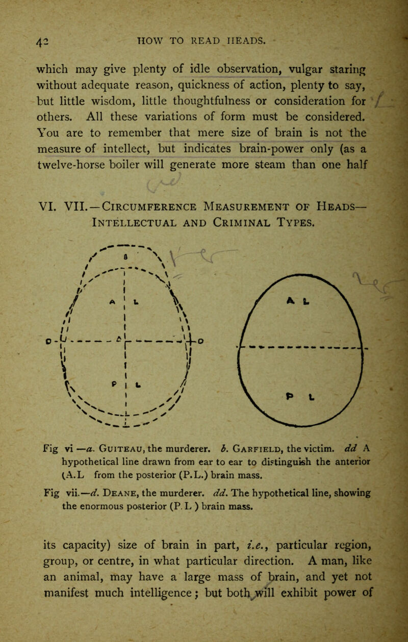 which may give plenty of idle observation, vulgar staring without adequate reason, quickness of action, plenty to say, but little wisdom, little thoughtfulness or consideration for others. All these variations of form must be considered. You are to remember that mere size of brain is not the measure of intellect, but indicates brain-power only (as a twelve-horse boiler will generate more steam than one half VI. VII. —Circumference Measurement of Heads— Intellectual and Criminal Types. Fig vi —a. Guiteau, the murderer, b. Garfield, the victim, dd A hypothetical line drawn from ear to ear to distinguish the anterior (A.L from the posterior (P.L.) brain mass. Fig vii.—d. Deane, the murderer, dd. The hypothetical line, showing the enormous posterior (P. L ) brain mass. its capacity) size of brain in part, i. e., particular region, group, or centre, in what particular direction. A man, like an animal, may have a large mass of brain, and yet not manifest much intelligence; but bothjwill exhibit power of