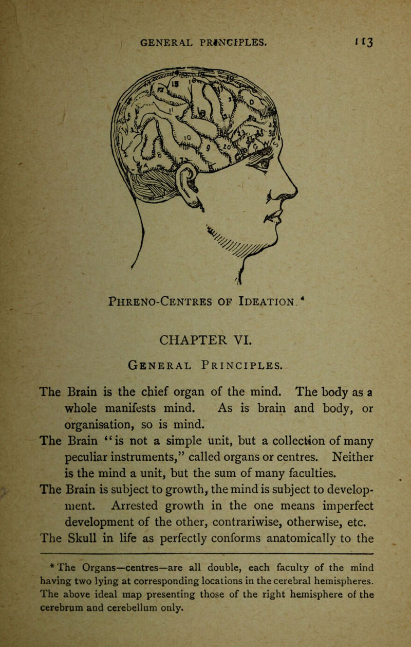 CHAPTER VI. General Principles. The Brain is the chief organ of the mind. The body as a whole manifests mind. As is brain and body, or organisation, so is mind. The Brain “is not a simple unit, but a collection of many peculiar instruments,” called organs or centres. Neither is the mind a unit, but the sum of many faculties. The Brain is subject to growth, the mind is subject to develop- ment. Arrested growth in the one means imperfect development of the other, contrariwise, otherwise, etc. The Skull in life as perfectly conforms anatomically to the * The Organs—centres—are all double, each faculty of the mind having two lying at corresponding locations in the cerebral hemispheres. The above ideal map presenting those of the right hemisphere of the cerebrum and cerebellum only.