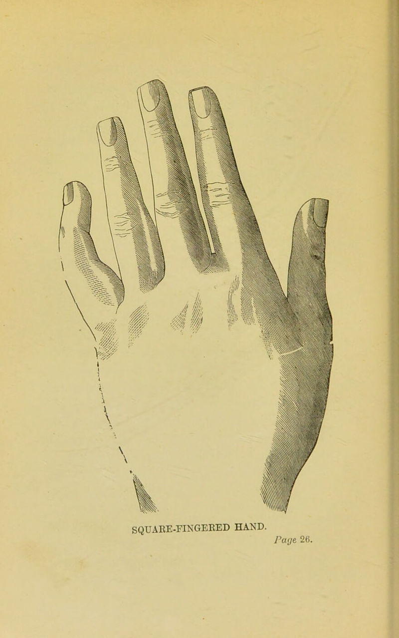 SQTJAEE-FINGEEED HAND. Paije 2f),