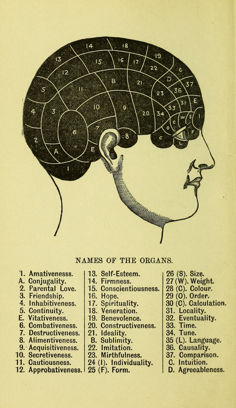 NAMES OF THE ORGANS. 1. Amativenesss. A. Conjugality. 2. Parental Love. 3. Friendship. 4. Inhabitiveness. 5. Continuity. E. Vitativeness. 6. Combativeness. 7. Destructiveness. 8. Alimentiveness. 9. Acquisitiveness. 10. Secretiveness. 11. Cautiousness. 12. Approbativeness. 13. Self-Esteem. 14. Firmness. 15. Conscientiousness. 16. Hope. 17. Spirituality. 18. Veneration. 19. Benevolence. 20. Constructiveness. 21. Ideality. B. Sublimity. 22. Imitation. 23. Mirthful ness. 24 (I). Individuality. 25 (F). Form. 26 (S). Size. 27 (W). Weight 28 (C). Colour. 29 (0). Order. 30 (C). Calculation. 31. Locality. 32. Eventuality. 33. Time. 34. Tune. 35 (L). Language. 36. Causality. 37. Comparison. C. Intuition. D. Agreeableness.