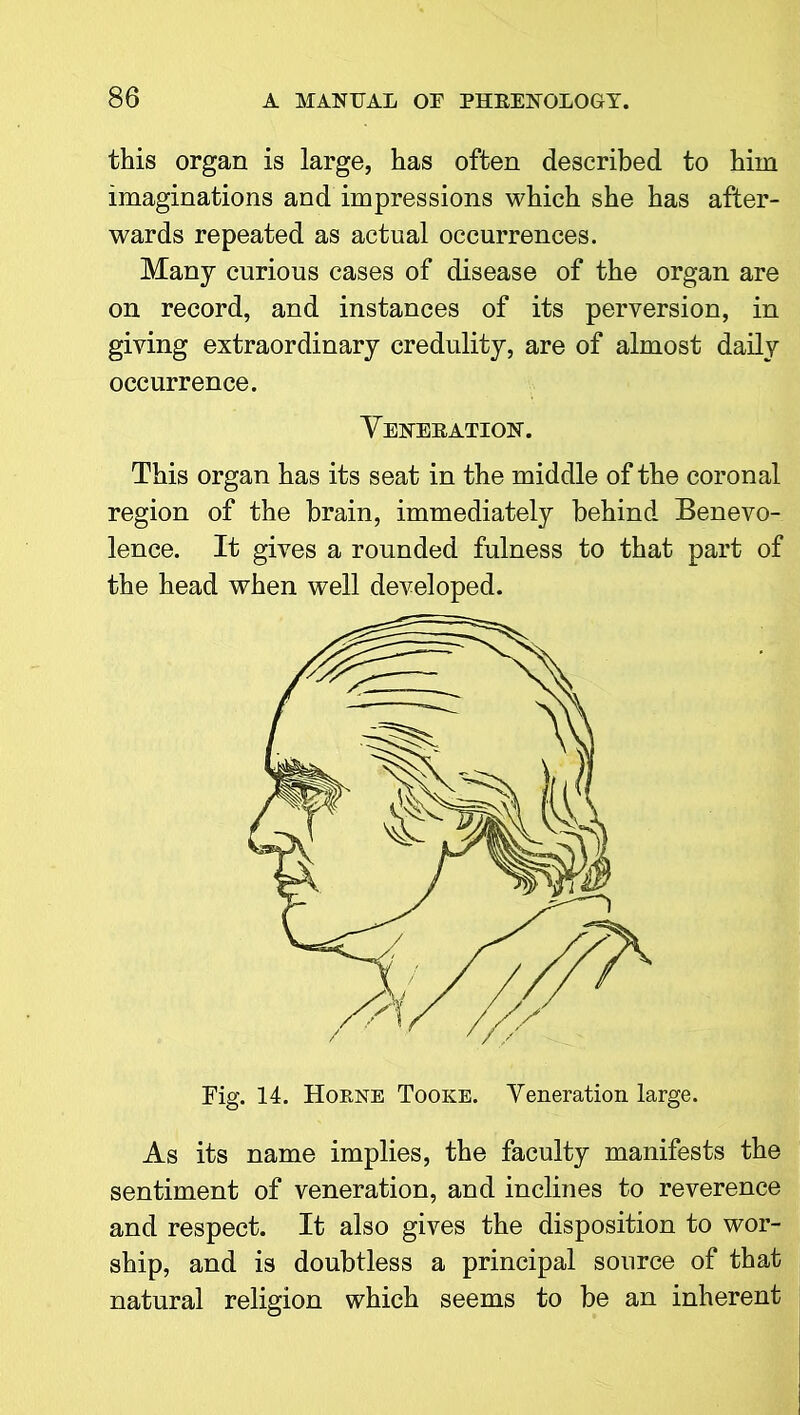 this organ is large, has often described to him imaginations and impressions which she has after- wards repeated as actual occurrences. Many curious cases of disease of the organ are on record, and instances of its perversion, in giving extraordinary credulity, are of almost daily occurrence. Veneration. This organ has its seat in the middle of the coronal region of the brain, immediately behind Benevo- lence. It gives a rounded fulness to that part of the head when well developed. Fig. 14. Horne Tooke. Veneration large. As its name implies, the faculty manifests the sentiment of veneration, and inclines to reverence and respect. It also gives the disposition to wor- ship, and is doubtless a principal source of that natural religion which seems to be an inherent