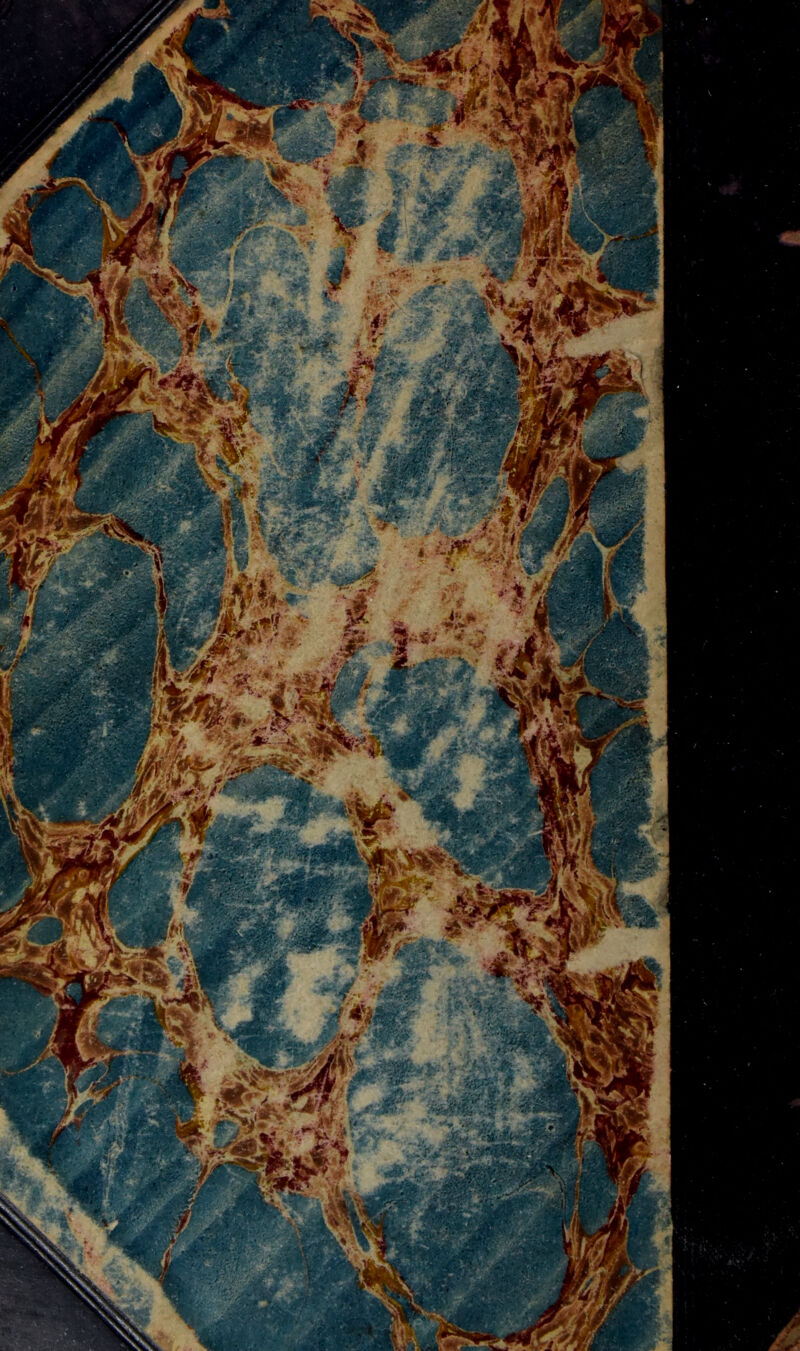 Y 'Jd i, *'1 ;':' s . - f jfr **/• ÊÊ /W iT —' . *Kf* ■ Wv /