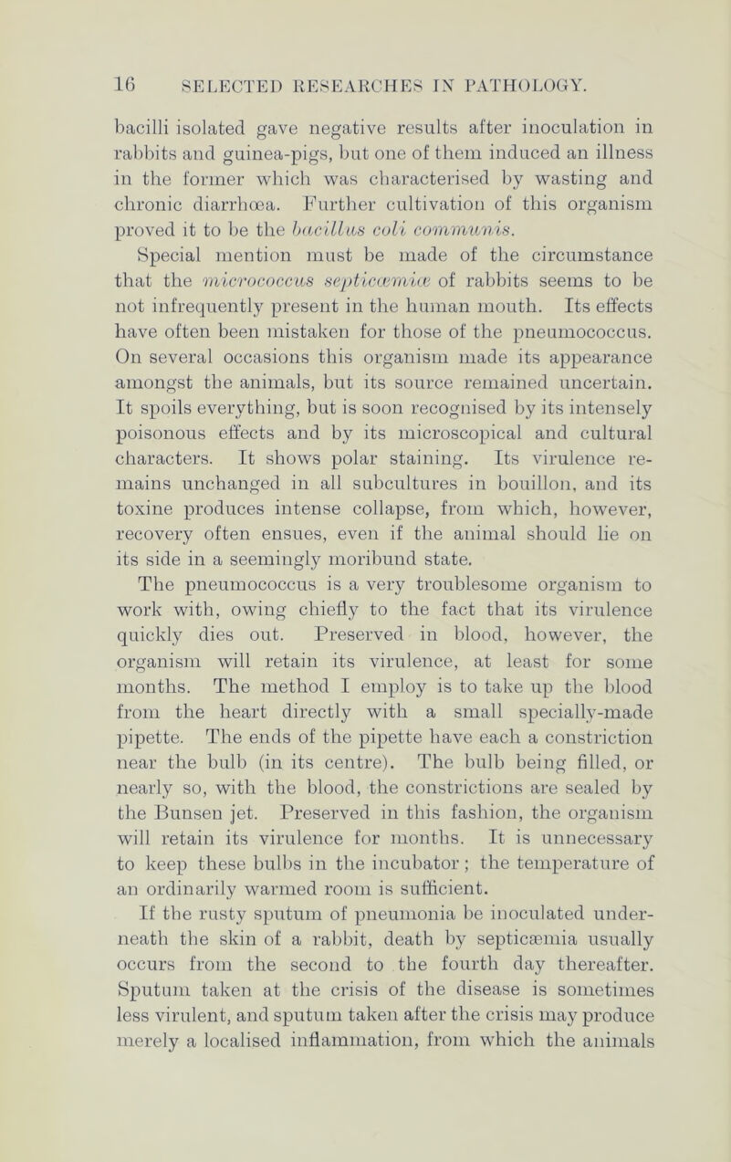 bacilli isolated gave negative results after inoculation in rabbits and guinea-pigs, but one of them induced an illness in the former which was characterised by wasting and chronic diarrhoea. Further cultivation of this organism proved it to be the bacillus coli communis. Special mention must be made of the circumstance that the micrococcus septiccemicB of rabbits seems to be not infrecjuently present in the human mouth. Its effects have often been mistaken for those of the pneumococcus. On several occasions this organism made its appearance amongst the animals, but its source remained uncertain. It spoils everything, but is soon recognised by its intensely poisonous effects and by its microscopical and cultural characters. It shows polar staining. Its virulence re- mains unchanged in all subcultures in bouillon, and its toxine produces intense collapse, from which, however, recovery often ensues, even if the animal should lie on its side in a seemingly moribund state. The pneumococcus is a very troublesome organism to work with, owing chiefly to the fact that its virulence quickly dies out. Preserved in blood, however, the organism will retain its virulence, at least for some months. The method I employ is to take up the blood from the heart directly with a small specially-made pipette. The ends of the pipette have each a constriction near the bulb (in its centre). The bulb being filled, or nearly so, with the blood, the constrictions are sealed by the Bunsen jet. Preserved in this fashion, the organism will retain its virulence for months. It is unnecessary to keep these bulbs in the incubator; the temperature of an ordinarily warmed room is sufficient. If the rusty sputum of pneumonia be inoculated under- neath the skin of a rabbit, death by septicaemia usually occurs from the second to the fourth day thereafter. Sputum taken at the crisis of the disease is sometimes less virulent, and sputum taken after the crisis may produce merely a localised inflammation, from which the animals