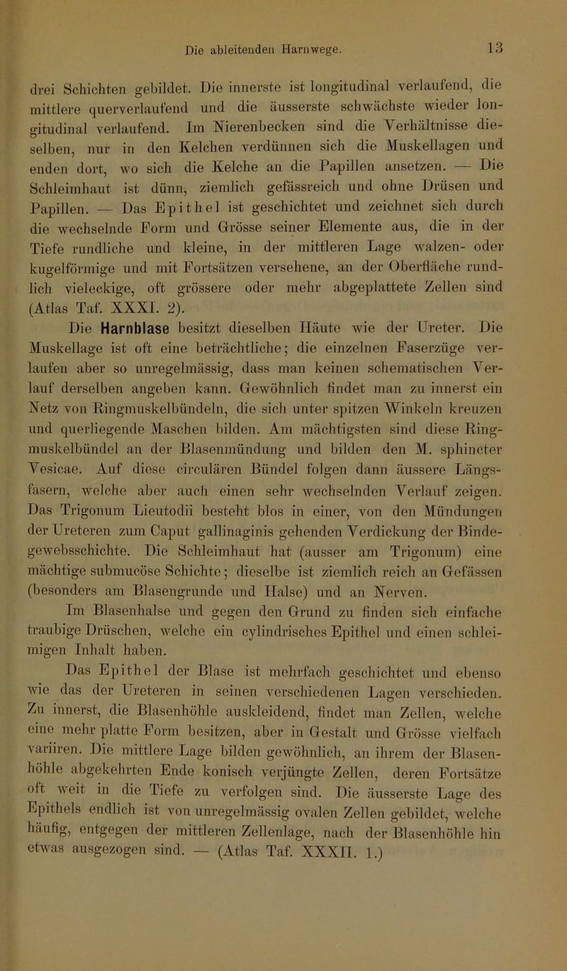 drei Schichten gebildet. Die innerste ist longitudinal verlaufend, die mittlere querverlaufend und die äusserste schwächste wieder lon- gitudinal verlaufend. Im Nierenbecken sind die Verhältnisse die- selben, nur in den Kelchen verdünnen sich die Muskellagen und enden dort, wo sich die Kelche an die Papillen ansetzen. — Die Schleimhaut ist dünn, ziemlich gefassreich und ohne Drüsen und Papillen. — Das Epithel ist geschichtet und zeichnet sich durch die wechselnde Form und Grösse seiner Elemente aus, die in der Tiefe rundliche und kleine, in der mittleren Lage walzen- oder kugelförmige und mit Fortsätzen versehene, an der Oberfläche rund- lich vieleckige, oft grössere oder mehr abgeplattete Zellen sind (Atlas Taf. XXXI. 2). Die Harnblase besitzt dieselben Häute wie der LIreter. Die Muskellage ist oft eine beträchtliche; die einzelnen Paserzüge ver- laufen aber so unregelmässig, dass man keinen schematischen Ver- lauf derselben angeben kann. Gewöhnlich findet man zu innerst ein Netz von Ringmuskelbündeln, die sich unter spitzen Winkeln kreuzen und querliegende Maschen bilden. Am mächtigsten sind diese Ring- muskelbündel an der Rlasenmündung und bilden den M. sphincter Vesicae. Auf diese circulären Bündel folgen dann äussere Längs- fasern, welche aber auch einen sehr wechselnden Verlauf zeigen. Das Trigonum Lieutodii besteht blos in einer, von den Mündungen der Ureteren zum Caput gallinaginis gehenden Verdickung der Binde- gewebsschichte. Die Schleimhaut hat (ausser am Trigonum) eine mächtige submucöse Schichte; dieselbe ist ziemlich reich an Gefässen (besonders am Blasengrunde und Halse) und an Nerven. Im Blasenhalse und gegen den Grund zu finden sich einfache traubige Drüschen, welche ein cylindrisches Epithel und einen schlei- migen Inhalt haben. Das Epithel der Bhase ist mehrfach geschichtet imd ebenso wie das der Ureteren in seinen verschiedenen Lagen verschieden. Zu innerst, die Blasenhöhle auskleidend, findet man Zellen, welche eine mehr platte Form besitzen, aber in Gestalt und Grösse vielfach variiren. Die mittlere Lage bilden gewöhnlich, an ihrem der Blasen- höhle abgekehrten Ende konisch verjüngte Zellen, deren Fortsätze oft weit in die Tiefe zu verfolgen sind. Die äusserste Lage des Epithels endlich ist von unregelmässig ovalen Zellen gebildet, welche häufig, entgegen der mittleren Zellenlage, nach der Blasenhöhle hin etwas ausgezogen sind. — (Atlas Taf. XXXH. 1.)