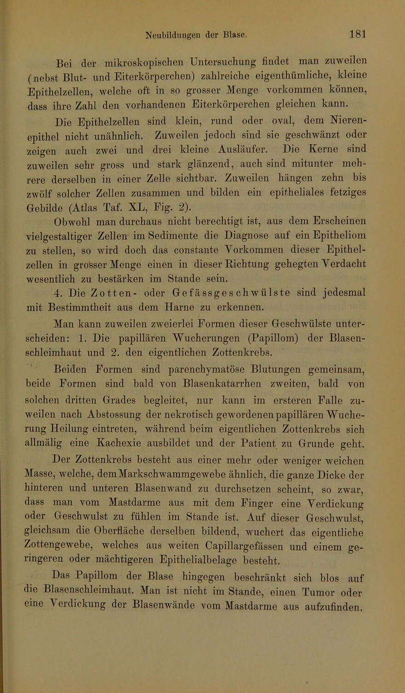 Bei der mikroskopischen Untersuchung findet man zuweilen (nebst Blut- und Eiterkörperchen) zahlreiche eigenthümliche, kleine Epithelzellen, welche oft in so grosser Menge verkommen können, dass ihre Zahl den vorhandenen Eiterkörperchen gleichen kann. Die Epithelzellen sind klein, rund oder oval, dem Nieren- epithel nicht unähnlich. Zuweilen jedoch sind sie geschwänzt oder zeigen auch zwei und drei kleine Ausläufer. Die Kerne sind zuweilen sehr gross und stark glänzend, auch sind mitunter meh- rere derselben in einer Zelle sichtbar. Zuweilen hängen zehn bis zwölf solcher Zellen zusammen und bilden ein epitheliales fetziges Gebilde (Atlas Taf. XL, Eig. 2). Obwohl man durchaus nicht berechtigt ist, aus dem Erscheinen vielgestaltiger Zellen im Sedimente die Diagnose auf ein Epitheliom zu stellen, so wird doch das constaute Vorkommen dieser Epithel- zellen in grosser Menge einen in dieser Eichtung gehegten Yerdacht wesentlich zu bestärken im Stande sein. 4. Die Zotten- oder Gefässgeschwülste sind jedesmal mit Bestimmtheit aus dem Harne zu erkennen. Man kann zuweilen zweierlei Formen dieser Geschwülste unter- scheiden: 1. Die papillären Wucherungen (Papillom) der Blasen- schleimhaut und 2. den eigentlichen Zottenkrebs. Beiden Formen sind parenchymatöse Blutungen gemeinsam, beide Formen sind bald von Blasenkatarrhen zweiten, bald von solchen dritten Grades begleitet, nur kann im ersteren Falle zu- weilen nach Abstossung der nekrotisch gewordenen papillären Wuche- rung Heilung eintreten, während beim eigentlichen Zottenkrebs sich allmälig eine Kachexie ausbildet und der Patient zu Grunde geht. Der Zottenkrebs besteht aus einer mehr oder weniger weichen Masse, welche, dem Markschwammgewebe ähnlich, die ganze Dicke der hinteren und unteren Blasenwand zu durchsetzen scheint, so zwar, dass man vom Mastdarme aus mit dem Finger eine Verdickung oder Geschwulst zu fühlen im Stande ist. Auf dieser Geschwulst, gleichsam die Oberfläche derselben bildend, wuchert das eigentliche Zottengewebe, welches aus weiten Capillargefässen und einem ge- ringeren oder mächtigeren Epithelialbelage besteht. Das Papillom der Blase hingegen beschränkt sich blos auf die Blasenschleimhaut. Man ist nicht im Stande, einen Tumor oder eine Verdickung der Blasenwände vom Mastdarme aus aufzufinden.