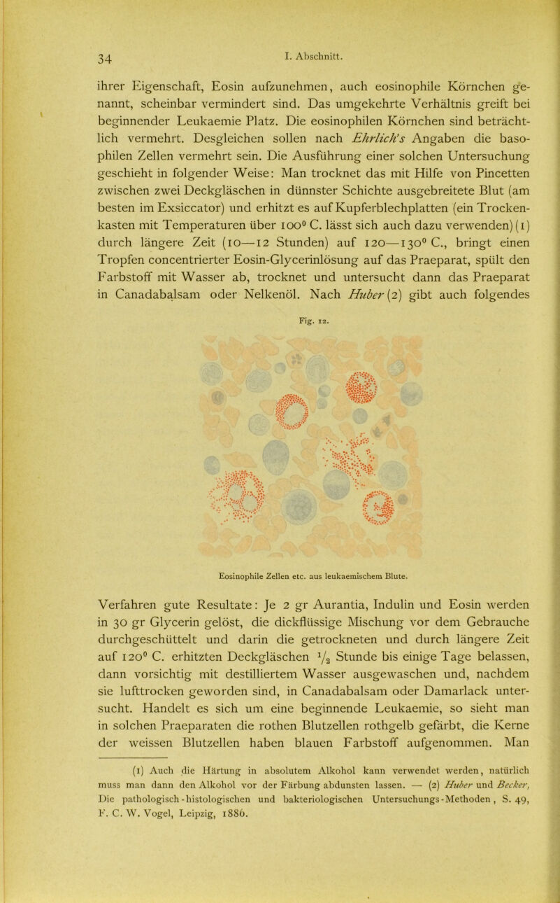 ihrer Eigenschaft, Eosin aufzunehmen, auch eosinophile Körnchen ge- nannt, scheinbar vermindert sind. Das umgekehrte Verhältnis greift bei beginnender Leukaemie Platz. Die eosinophilen Körnchen sind beträcht- lich vermehrt. Desgleichen sollen nach Ehrlich’s Angaben die baso- philen Zellen vermehrt sein. Die Ausführung einer solchen Untersuchung geschieht in folgender Weise: Man trocknet das mit Hilfe von Pincetten zwischen zwei Deckgläschen in dünnster Schichte ausgebreitete Blut (am besten im Exsiccator) und erhitzt es auf Kupferblechplatten (ein Trocken- kasten mit Temperaturen über ioo° C. lässt sich auch dazu verwenden) (i) durch längere Zeit (io—12 Stunden) auf 120—130° C., bringt einen Tropfen concentrierter Eosin-Glycerinlösung auf das Praeparat, spült den Farbstoff mit Wasser ab, trocknet und untersucht dann das Praeparat in Canadabalsam oder Nelkenöl. Nach Huber {2) gibt auch folgendes Fig. 12. Eosinophile Zellen etc. aus leukaeraischem Blute. Verfahren gute Resultate: Je 2 gr Aurantia, Indulin und Eosin werden in 30 gr Glycerin gelöst, die dickflüssige Mischung vor dem Gebrauche durchgeschüttelt und darin die getrockneten und durch längere Zeit auf 1200 C. erhitzten Deckgläschen 1/2 Stunde bis einige Tage belassen, dann vorsichtig mit destilliertem Wasser ausgewaschen und, nachdem sie lufttrocken geworden sind, in Canadabalsam oder Damarlack unter- sucht. Handelt es sich um eine beginnende Leukaemie, so sieht man in solchen Praeparaten die rothen Blutzellen rothgelb gefärbt, die Kerne der weissen Blutzellen haben blauen Farbstoff aufgenommen. Man (1) Auch die Härtung in absolutem Alkohol kann verwendet werden, natürlich muss man dann den Alkohol vor der Färbung abdunsten lassen. — (2) Huber und Becker, Die pathologisch-histologischen und bakteriologischen Untersuchungs - Methoden , S. 49, F. C. W. Vogel, Leipzig, 1886.