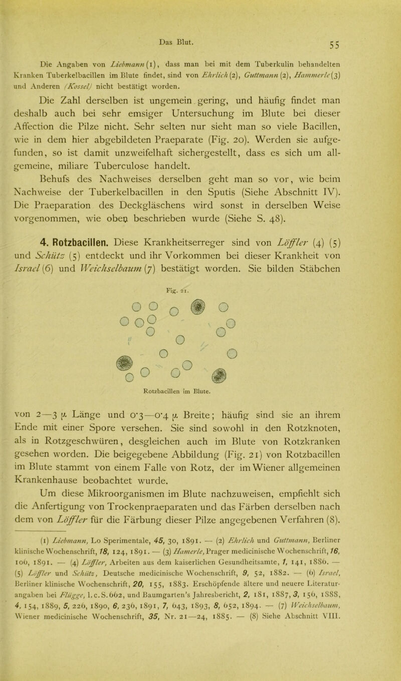 Die Angaben von Liebmann {i), dass man bei mit dem Tuberkulin behandelten Kranken Tuberkelbacillen im Blute findet, sind von Ehrlich (2), Guttmann (2), Hammerle(3) und Anderen (Kessel) nicht bestätigt worden. Die Zahl derselben ist ungemein. gering, und häufig findet man deshalb auch bei sehr emsiger Untersuchung im Blute bei dieser Affection die Pilze nicht. Sehr selten nur sieht man so viele Bacillen, wie in dem hier abgebildeten Praeparate (Fig. 20). Werden sie aufge- funden, so ist damit unzweifelhaft sichergestellt, dass es sich um all- gemeine, miliare Tuberculose handelt. Behufs des Nachweises derselben geht man so vor, wie beim Nachweise der Tuberkelbacillen in den Sputis (Siehe Abschnitt IV). Die Praeparation des Deckgläschens wird sonst in derselben Weise vorgenommen, wie obei? beschrieben wurde (Siehe S. 48). 4. Rotzbacillen. Diese Krankheitserreger sind von Löffler (4) (5) und Schütz (5) entdeckt und ihr Vorkommen bei dieser Krankheit von Israel (6) und Weichselbaum (7) bestätigt worden. Sie bilden Stäbchen Fig. 21. Rotzbacillen im Blute. von 2—3 (/. Länge und 0'3—0’4 7. Breite; häufig sind sie an ihrem Ende mit einer Spore versehen. Sie sind sowohl in den Rotzknoten, als in Rotzgeschwüren, desgleichen auch im Blute von Rotzkranken gesehen worden. Die beigegebene Abbildung (Fig. 21) von Rotzbacillen im Blute stammt von einem Falle von Rotz, der im Wiener allgemeinen Krankenhause beobachtet wurde. Um diese Mikroorganismen im Blute nachzuweisen, empfiehlt sich die Anfertigung von Trockenpraeparaten und das Färben derselben nach dem von Löffler für die Färbung dieser Pilze angegebenen Verfahren (8). (1) Liebmann, Lo Sperimentale, 45, 30, 1S91. — (2) Ehrlich und Guttmann, Berliner klinische Wochenschrift, 18, 124, 1891. — (3) Hamerle, Prager medicinische Wochenschrift, 16, 10O, 1891. — (4) Löffler, Arbeiten aus dem kaiserlichen Gesundheitsamte, 1, 141, 188b. — (5) Löffler und Schütz, Deutsche medicinische Wochenschrift, 9, $2, 1882. — (6) Israel, Berliner klinische Wochenschrift, 20, 155, 1883. Erschöpfende ältere und neuere Literatur- angaben bei Flügge, l.c.S.662, und Baumgarlen’s Jahresbericht, 2, 181, 1887, 3, 15O, 1888, 4, 154, 1889, 5, 226, 1890, 6, 236, 1891, 7, 643, 1893, 8, 652, 1894. — (7) Weichselbaum, Wiener medicinische Wochenschrift, 35, Nr. 21—24, 1885. — (8) Siehe Abschnitt VIII.