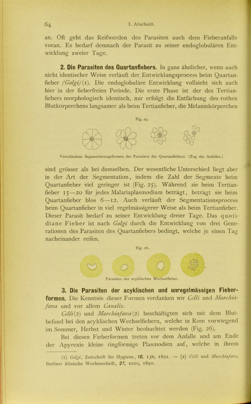 an. Oft geht das Reifwerden des Parasiten auch dem Fieberanfalle voran. Es bedarf demnach der Parasit zu seiner endoglobulären Ent- wicklung zweier Tage. 2. Die Parasiten des Quartanfiebers. In ganz ähnlicher, wenn auch nicht identischer Weise verläuft der Entwicklungsprocess beim Quartan- fieber (Golgi) [i). Die endoglobuläre Entwicklung vollzieht sich auch hier in der fieberfreien Periode. Die erste Phase ist der des Tertian- fiebers morphologisch identisch, nur erfolgt die Entfärbung des rothen Blutkörperchens langsamer als beim Tertianfieber, die Melaninkörperchen Fig. 25. Verschiedene Segmentierungsformen des Parasiten des Quartanfiebers. (Tag des Anfalles.) sind grösser als bei demselben. Der wesentliche Unterschied liegt aber in der Art der Segmentation, indem die Zahl der Segmente beim Quartanfieber viel geringer ist (Fig. 25). Während sie beim Tertian- fieber 15—20 für jedes Malariaplasmodium beträgt, beträgt sie beim Quartanfieber blos 6—12. Auch verläuft der Segmentationsprocess beim Quartanfieber in viel regelmässigerer Weise als beim Tertianfieber. Dieser Parasit bedarf zu seiner Entwicklung dreier Tage. Das quoti- diane Fieber ist nach Golgi durch die Entwicklung von drei Gene- rationen des Parasiten des Quartanfiebers bedingt, welche je einen Tag nacheinander reifen. Fig. 26. Parasiten der acyklischen Wechselfieber. 3. Die Parasiten der acyklischen und unregelmässigen Fieber- formen. Die Kenntnis dieser Formen verdanken wir Celli und Marchia- fava und vor allem Canalis. Celli(2) und Marchiafavu (2) beschäftigten sich mit dem Blut- befund bei den acyklischen Wechselfiebern, welche in Rom vorwiegend im Sommer, Herbst und Winter beobachtet werden (Fig. 26). Bei diesen Fieberformen treten vor dem Anfalle und am Ende der Apyrexie kleine ringförmige Plasmodien auf, welche in ihrem (1) Golgi, Zeitschrift für Hygiene, 10, 136, 1891. — (2) Celli und Marchiafavu, Berliner klinische Wochenschrift, 27, 1010, 1S90.