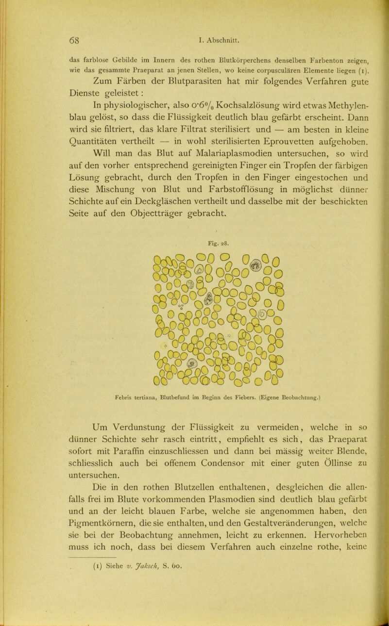 das farblose Gebilde im Innern des rothen Blutkörperchens denselben Farbenton zeigen, wie das gesammte Praeparat an jenen Stellen, wo keine corpusculären Elemente liegen (i). Zum Färben der Blutparasiten hat mir folgendes Verfahren gute Dienste geleistet : In physiologischer, also o*6°/0 Kochsalzlösung wird etwas Methylen- blau gelöst, so dass die Flüssigkeit deutlich blau gefärbt erscheint. Dann wird sie filtriert, das klare Filtrat sterilisiert und — am besten in kleine Quantitäten vertheilt — in wohl sterilisierten Eprouvetten aufgehoben. Will man das Blut auf Malariaplasmodien untersuchen, so wird auf den vorher entsprechend gereinigten Finger ein Tropfen der färbigen Lösung gebracht, durch den Tropfen in den Finger eingestochen und diese Mischung von Blut und Farbstofflösung in möglichst dünner Schichte auf ein Deckgläschen vertheilt und dasselbe mit der beschickten Seite auf den Objectträger gebracht. Fig. 28. Febris tertiana, Blutbefund im Beginn des Fiebers. (Eigene Beobachtung.) Um Verdunstung der Flüssigkeit zu vermeiden, welche in so dünner Schichte sehr rasch eintritt, empfiehlt es sich, das Praeparat sofort mit Paraffin einzuschliessen und dann bei mässig weiter Blende, schliesslich auch bei offenem Condensor mit einer guten Öllinse zu untersuchen. Die in den rothen Blutzellen enthaltenen, desgleichen die allen- falls frei im Blute vorkommenden Plasmodien sind deutlich blau gefärbt und an der leicht blauen Farbe, welche sie angenommen haben, den Pigmentkörnern, die sie enthalten, und den Gestaltveränderungen, welche sie bei der Beobachtung annehmen, leicht zu erkennen. Hervorheben muss ich noch, dass bei diesem Verfahren auch einzelne rothe, keine (1) Siehe v. Jaksch, S. 60.