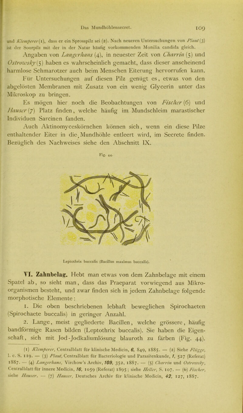 IOQ und Klemperer{l\ dass er ein Sprosspilz sei (2). Nach neueren Untersuchungen von Plant (3) ist der Soorpilz mit der in der Natur häutig vorkommenden Monilia candida gleich. Angaben von Langerhans (4), in neuester Zeit von Charrin (5) und Ostrozusky (5) haben es wahrscheinlich gemacht, dass dieser anscheinend harmlose Schmarotzer auch beim Menschen Eiterung hervorrufen kann. Für Untersuchungen auf diesen Pilz genügt es, etwas von den abgelösten Membranen mit Zusatz von ein wenig Glycerin unter das Mikroskop zu bringen. Es mögen hier noch die Beobachtungen von Fischer (6) und Hauser (7) Platz linden, welche häufig im Mundschleim marastischer Individuen Sarcinen fanden. Auch Aktinomyceskörnchen können sich, wenn ein diese Pilze enthaltender Eiter in die Mundhöhle entleert wird, im Secrete linden. Bezüglich des Nachweises siehe den Abschnitt IX. TI. Zalinbelag. Hebt man etwas von dem Zahnbelage mit einem Spatel ab, so sieht man, dass das Praeparat vorwiegend aus Mikro- organismen besteht, und zwar linden sich in jedem Zahnbelage folgende morphotische Elemente: 1. Die oben beschriebenen lebhaft beweglichen Spirochaeten (Spirochaete buccalis) in geringer Anzahl. 2. Lange, meist gegliederte Bacillen, welche grössere, häufig bandförmige Rasen bilden (Leptothrix buccalis). Sie haben die Eigen- schaft, sich mit Jod-Jodkaliumlösung blauroth zu färben (Fig. 44). (1) Klemperer, Centralblatt für klinische Medicin, 6, 849, 1885. — (2) Siehe Flügge, 1. c. S. 119. — (3) Plant, Centralblatt für Bacteriologie und Parasitenkunde, 1, 527 (Referat) 1887. — (4) Langerhans, Virchow’s Archiv, 109, 352, 1887. — (5) Charrin und Ostrozusky, Centralblatt für innere Medicin, 16, 1059 (Referat) 1895 i siehe Heller, S. 107. — (6) Fischer, siehe Hauser. — (7) Hauser, Deutsches Archiv für klinische Medicin, 42, 127, 1887. Fig. 44. Leptothrix buccalis (Bacillus maximus buccalis).