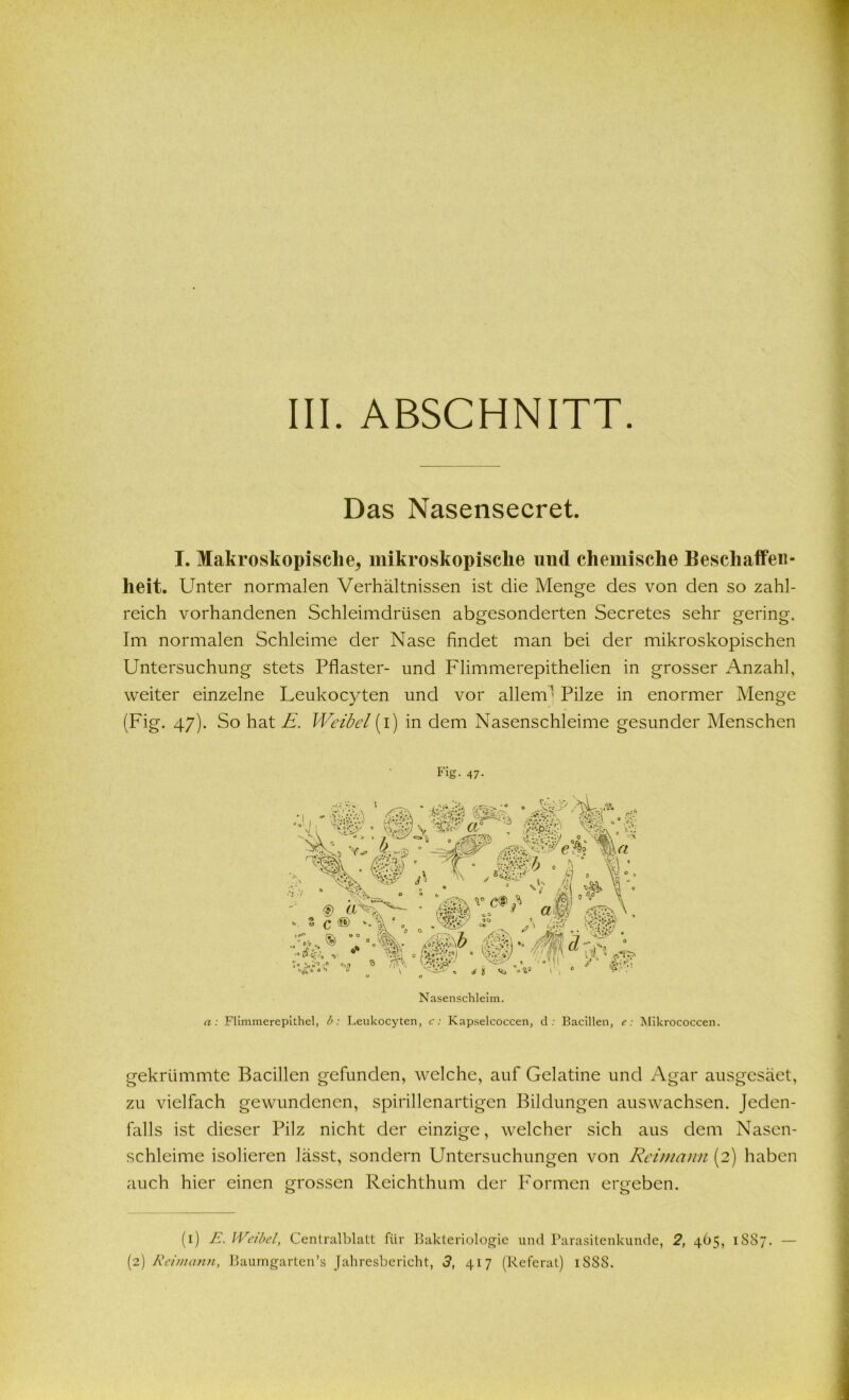 Das Nasensecret. I. Makroskopische, mikroskopische und chemische Beschaffen- heit. Unter normalen Verhältnissen ist die Menge des von den so zahl- reich vorhandenen Schleimdrüsen abgesonderten Secretes sehr gering. Im normalen Schleime der Nase findet man bei der mikroskopischen Untersuchung stets Pflaster- und Flimmerepithelien in grosser Anzahl, weiter einzelne Leukocyten und vor allem' Pilze in enormer Menge (Fig. 47). So hat E. Weibel (1) in dem Nasenschleime gesunder Menschen Fig- 47- Nasenschleim. n: Flimmerepithel, b: Leukocyten, c: Kapselcoccen, d : Bacillen, e: Mikrococcen. gekrümmte Bacillen gefunden, welche, auf Gelatine und Agar ausgesäet, zu vielfach gewundenen, spirillenartigen Bildungen auswachsen. Jeden- falls ist dieser Pilz nicht der einzige, welcher sich aus dem Nasen- schleime isolieren lässt, sondern Untersuchungen von Reimann (2) haben auch hier einen grossen Reichthum der Formen ergeben. (1) E. Weibel, Centralblatt für Bakteriologie und Parasitenkunde, 2, 465, 1 SS7. — (2) Reimann, Baumgarten’s Jahresbericht, 3, 417 (Referat) 188S.
