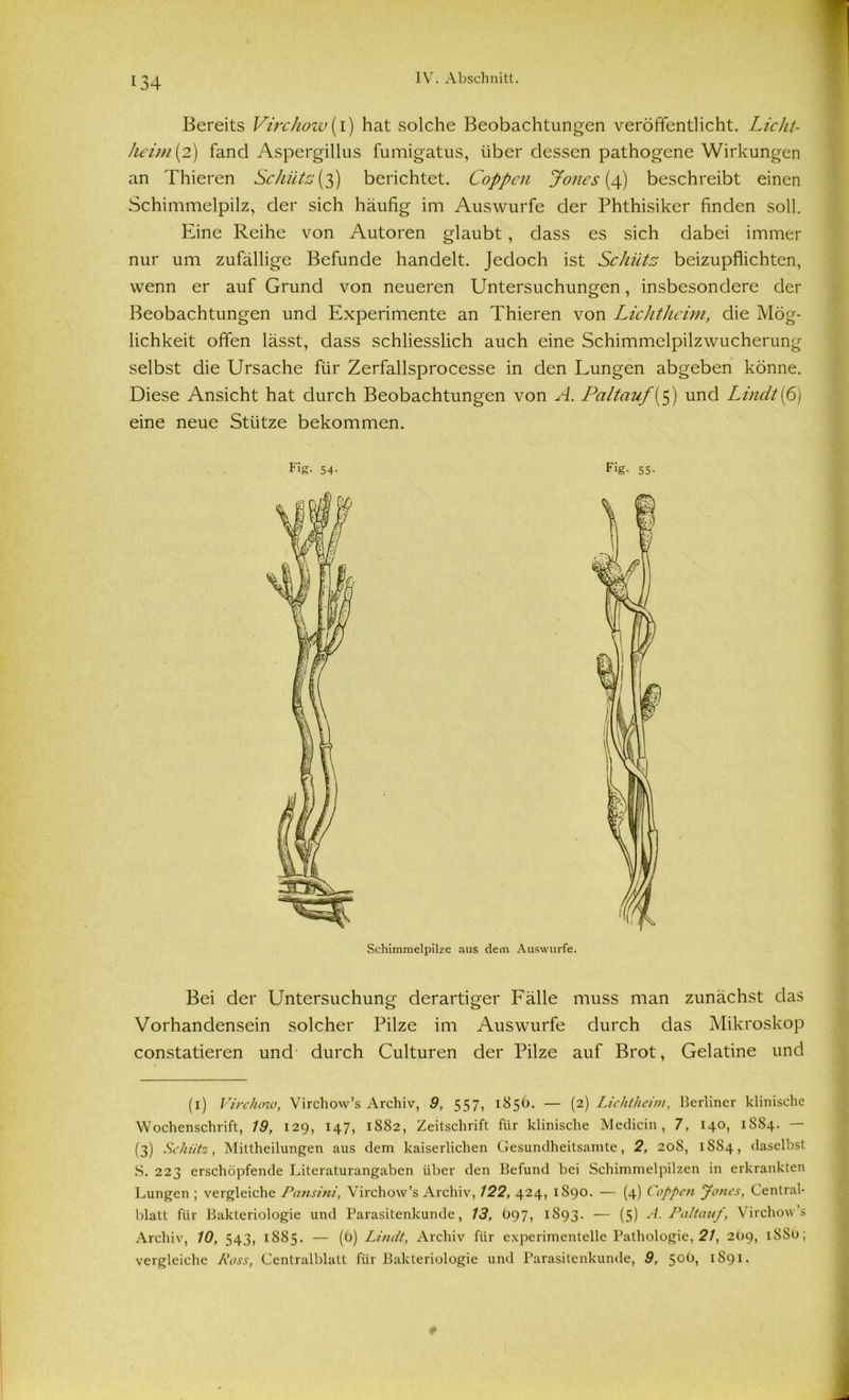 Bereits Virc/iow(i) hat solche Beobachtungen veröffentlicht. Lickt- heim {2) fand Aspergillus fumigatus, über dessen pathogene Wirkungen an Thieren Schütz {3) berichtet. Coppcn Jones [cp] beschreibt einen Schimmelpilz, der sich häufig im Auswurfe der Phthisiker finden soll. Eine Reihe von Autoren glaubt, dass es sich dabei immer nur um zufällige Befunde handelt. Jedoch ist Schütz beizupflichten, wenn er auf Grund von neueren Untersuchungen, insbesondere der Beobachtungen und Experimente an Thieren von Lichtheim, die Mög- lichkeit offen lässt, dass schliesslich auch eine Schimmelpilzwucherung selbst die Ursache für Zerfallsprocesse in den Lungen abgeben könne. Diese Ansicht hat durch Beobachtungen von A. Paltauf '(5) und Lindt(6) eine neue Stütze bekommen. Fig. 54- Fig. 55. Bei der Untersuchung derartiger Fälle muss man zunächst das Vorhandensein solcher Pilze im Aus würfe durch das Mikroskop constatieren und durch Culturen der Pilze auf Brot, Gelatine und (1) Virchow, Virchow’s Archiv, 9, 557, 1856. — (2) Lichtheim, Berliner klinische Wochenschrift, 19, 129, 147, 1882, Zeitschrift für klinische Medicin, 7, 140, 1884. — (3) Schütz, Mittheilungen aus dem kaiserlichen Gesundheitsamte, 2, 20S, 1884, daselbst S. 223 erschöpfende Literaturangaben über den Befund bei Schimmelpilzen in erkrankten Lungen ; vergleiche Pcinsini, Virchow’s Archiv, 122, 424, 1890. — (4) Coppcn Jones, Central- blatt für Bakteriologie und Parasitenkunde, 13, O97, 1893. — (5) A. Paltauf , Virchow’s Archiv, 10, 543, 1885. — (6) Limit, Archiv für experimentelle Pathologie, 21, 2O9, iSSO; vergleiche Ross, Centralblatt für Bakteriologie und Parasitenkunde, 9, 50O, 1891.