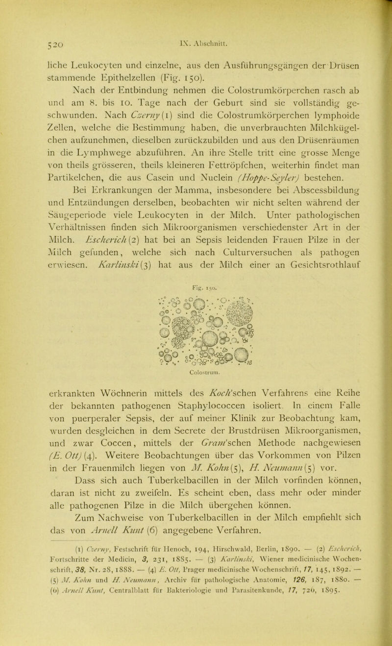 liehe Leukocyten und einzelne, aus den Ausführungsgängen der Drüsen stammende Epithelzellen (Fig. 150). Nach der Entbindung nehmen die Colostrumkörperchen rasch ab und am 8. bis 10. Tage nach der Geburt sind sie vollständig ge- schwunden. Nach Czerny (1) sind die Colostrumkörperchen lymphoide Zellen, welche die Bestimmung haben, die unverbrauchten Milchkügel- chen aufzunehmen, dieselben zurückzubilden und aus den Drüsenräumen in die Lymphwege abzuführen. An ihre Stelle tritt eine grosse Menge von theils grösseren, theils kleineren Fettröpfchen, weiterhin findet man Partikelchen, die aus Casein und Nuclein (Hoppe-Seyler) bestehen. Bei Erkrankungen der Mamma, insbesondere bei Abscessbildung und Entzündungen derselben, beobachten wir nicht selten während der Säugeperiode viele Leukocyten in der Milch. Unter pathologischen Verhältnissen finden sich Mikroorganismen verschiedenster Art in der Milch. Escherich (2) hat bei an Sepsis leidenden Frauen Pilze in der Milch gefunden, welche sich nach Culturversuchen als pathogen erwiesen. Karlinski(3) hat aus der Milch einer an Gesichtsrothlauf Fig. 150.. Colostrum. erkrankten Wöchnerin mittels des Koch’sehen Verfahrens eine Reihe der bekannten pathogenen Staphylococcen isoliert, ln einem Falle von puerperaler Sepsis, der auf meiner Klinik zur Beobachtung kam, wurden desgleichen in dem Secrete der Brustdrüsen Mikroorganismen, und zwar Coccen, mittels der Gram’sehen Methode nachgewiesen (E. Ott) (4). Weitere Beobachtungen über das Vorkommen von Pilzen in der Frauenmilch liegen von M. Kohn($), H Neumann($) vor. Dass sich auch Tuberkelbacillen in der Milch vorrinden können, daran ist nicht zu zweifeln. Es scheint eben, dass mehr oder minder alle pathogenen Pilze in die Milch übergehen können. Zum Nachweise von Tuberkelbacillen in der Milch empfiehlt sich das von Arnell Kant (6) angegebene Verfahren. (1) Czerny, Festschrift für Henoch, 194, Hirschwald, Berlin, 1S90. — (2) Escherich, Fortschritte der Medicin, 3, 231, 1SS5. — (3) Karlinski, Wiener medicinische Wochen- schrift, 38, Nr. 28, 1888. — (4) E. Ott, Prager medicinische Wochenschrift, 17, 145, 1892. — (5) M. Kohn und H.Netimann, Archiv für pathologische Anatomie, 126, 187, 1880. — (0) Arnell Juint, Centralblatt für Bakteriologie und Parasitenkunde, 17, 72Ü, 1895.