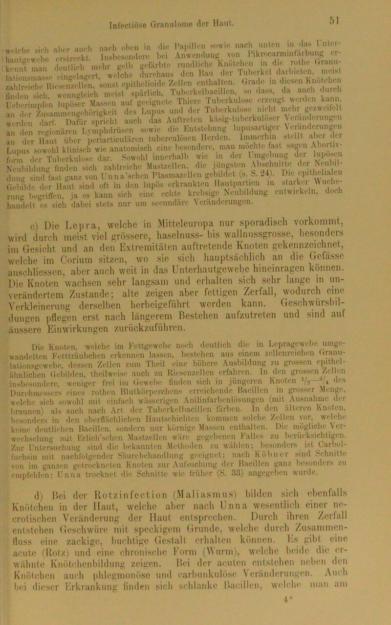 wrlclm sich aber auch nach oben in die Papillen sowie nach unten in das Untor- Äwcbe erstreckt. Insbesondere bei Anwendung von I'tkrocarm.nlarbung er- .1 'T i ...|m(.pr aclh gefall)te rundliche Knötchen m die rothe »nanu Ei Sm fmk«. *m B*. .1« Tuberkel Rieten, ia ZichTRiescn/.ellen, sonst epithelioide Zellen enthalten. Grade m diesen Knötchen £tu I ch wenngleich meist spärlich. Tuberkelbacillen so dass, da auch durch Uet -imntn Löser Massen auf geeignete Thiere Tuberkulose erzeugt werden kann an dcr*Zusaminengehörigkeit des Lupus und der Tuberkulose nicht mehr gczweilelt werden darf. Dafür spricht auch das Auftreten käsig-tuberku osei \ oi.indu ungui an ,]en regionären Lvmphdrüsen sowie die Entstehung lupusartiger Veränderungen au der Haut über poriarticulären tubcrculosen Herden, imincrbin stellt aber du Lupus sowohl klinisch wie anatomisch eine besondere, man mochte fast sagen Aboi tiv- funn der Tuberkulose dar. Sowohl innerhalh wie in der Hingebung der Kjposcn Neubildung finden sich zahlreiche Mastzellen. die jüngsten Abschnitte der Neubil- dung sind fast ganz von Ünna’sehen Plasmazellcn gebildet (s S. 24). Die‘ op|l|jß- en Gebilde der Haut sind oft in den lupös erkrankten llautpartien in st.uUi V, mng begriffen, ja es kann sich eine echte krebsige Neubildung entwickeln, doi i handelt es sich dabei stets nur um secundäre Veränderungen. c) Die Lepra, welche in Mitteleuropa nur sporadisch vorkommt, wird durch meist viel grössere, haselnuss- bis wall nussgrosse, besonders im Gesicht und an den Extremitäten auftretende Knoten gekennzeichnet, welche im Coriura sitzen, wo sie sieh hauptsächlich an die Gcfässe anschliessen, aber auch weit in das Unterhautgewebe hineinragen können. Die Knoten wachsen sehr langsam und erhalten sich sehr lange in un- verändertem Zustande; alte zeigen aber fettigen Zerfall, wodurch eine Verkleinerung derselben herbeigeführt werden kann. Geschwürsbd- dungen pflegen erst nach längerem Bestehen aufzutreten und sind auf äussere Einwirkungen zurückzuführen. Die Knoten, welche im Fettgewebe noch deutlich die in Lepragewebe umge- wandelten Fcttträubchen erkennen lassen, bestehen aus einem zellenrcichen Granu- lationsgewebe, dessen Zellen zum Theil eine höhere Ausbildung zu grossen epithel- ähnlichen Gebilden, thcilwcisc auch zu Riesenzellen erfahren, ln den grossen Zellen insbesondere, weniger frei im Gewebe finden sich in jüngeren Knoten V2—8/4 «es Durchmessers eines rothen Blutkörperchens erreichende Bacillen 111 grosser Menge, welche sich sowohl mit einfach wässerigen Anilinfarbenlösungen (mit Ausnahme der braunen) als auch nach Art der Tubcrkelbacillcn färben. In den älteren Knoten, besonders in den oberflächlichen Hautschichten kommen solche Zellen vor, welche keine deutlichen Bacillen, sondern nur körnige Massen enthalten. Die mögliche Ver- wechselung mit Krliclfsehen Mastzellen wäre gegebenen Falles zu berücksichtigen. Zur Untersuchung sind die bekannten Methoden zu wählen; besonders ist Carbol- fuehsin mit nachfolgender Säurebehandlung geeignet: nach Kühner sind Schnitte von im ganzen getrockneten Knoten zur Aufsuchung der Bacillen ganz bcsondiis zu empfehlen: Unna trocknet die Schnitte wie früher (S. 33) angegeben wurde. d) Bei der Rotzinfcction (Maliasmus) bilden sich ebenfalls Knötchen in der Haut, welche aber nach Unna wesentlich einer no- erotischen Veränderung der Haut entsprochen. Durch ihren Zerfall entstehen Geschwüre mit speckigem Grunde, welche durch Zusammen- fluss eine zackige, buchtigc Gestalt erhalten können. Iss gibi eine acute (Rotz) und eine chronische Form (Wurm), welche beide die er- wähnte Knötchenbildung zeigen. Bei der acuten entstehen neben den Knötchen auch phlegmonöse und carbunkulöse Veränderungen. Auch bei dieser Erkrankung linden sieb schlanke Bacillen, welche man am 4*