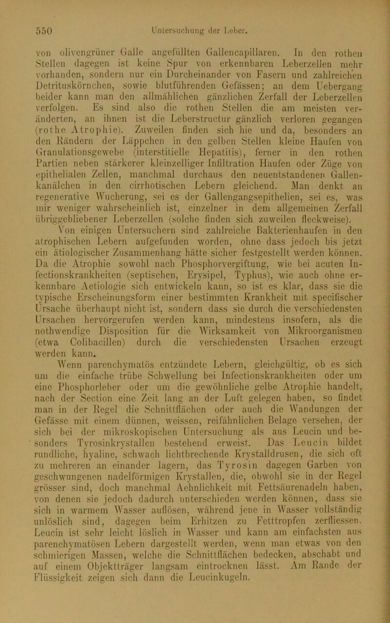 von olivengrüner Galle ungefüllten Gallencapillaren. In den rothcn Stellen dagegen ist keine Spur von erkennbaren Leberzellen mehr vorhanden, sondern nur ein Durcheinander von Fasern und zahlreichen Detrituskörnchen, sowie blutführenden Gefässen; an dem Uebergang beider kann man den allmählichen gänzlichen Zerfall der Leberzellen verfolgen. Es sind also die rothen Stellen die am meisten ver- änderten, an ihnen ist die Leberstruetur gänzlich verloren gegangen (rothe Atroph ie). Zuweilen finden sich hie und da, besonders an den Rändern der Läppchen in den gelben Stellen kleine Haufen von Granulationsgewebe (interstitielle Hepatitis), ferner in den rothen Partien neben stärkerer kleinzelliger Infiltration Haufen oder Züge von epithelialen Zellen, manchmal durchaus den neuentstandenen Gallen- kanälchen in den cirrhotischen Lebern gleichend. Man denkt an regenerative Wucherung, sei cs der Gallengangsepithelien, sei es, was mir weniger wahrscheinlich ist, einzelner in dem allgemeinen Zerfall übriggebliebener Leberzellen (solche finden sich zuweilen llcckweise). Von einigen Untersuchern sind zahlreiche Bakterienhaufen in den atrophischen Lebern aufgefunden worden, ohne dass jedoch bis jetzt ein ätiologischer Zusammenhang hätte sicher festgestellt werden können. Da die Atrophie sowohl nach Phosphorvergiftung, wie bei acuten In- fectionskrankheiten (septischen, Erysipel, Typhus), wie auch ohne er- kennbare Aetiologie sich entwickeln kann, so ist es klar, dass sie die typische Erscheinungsform einer bestimmten Krankheit mit specifischer Ursache überhaupt nicht ist, sondern dass sie durch die verschiedensten Ursachen hervorgerufen werden kann, mindestens insofern, als die nothwendige Disposition für die Wirksamkeit von Mikroorganismen (etwa Colibacillen) durch die verschiedensten Ursachen erzeugt werden kann. Wenn parenchymatös entzündete Lebern, gleichgültig, ob es sich um die einfache trübe Schwellung bei Infectionskrankheiten oder um eine Phosphorleber oder um die gewöhnliche gelbe Atrophie handelt, nach der Section eine Zeit lang an der Luft gelegen haben, so findet man in der Regel die Schnittflächen oder auch die Wandungen der Gefässe mit einem dünnen, weissen, reifähnlichen Belage versehen, der sich bei der mikroskopischen Untersuchung als aus Leucin und be- sonders Tyrosinkrystallen bestehend erweist. Das Leucin bildet rundliche, hyaline, schwach lichtbrechende Krystalldrusen, die sich oft zu mehreren an einander lagern, das Tyrosin dagegen Garben von geschwungenen nadelförmigen Krystallen, die, obwohl sie in der Regel grösser sind, doch manchmal Aehnlichkcit mit Fettsäurenadeln haben, von denen sie jedoch dadurch unterschieden werden können, dass sie sich in warmem Wasser auflösen, während jene in Wasser vollständig unlöslich sind, dagegen beim Erhitzen zu Fetttropfen zerfliessen. Leucin ist sehr leicht löslich in Wasser und kann am einfachsten aus parenchymatösen Lebern dargestellt werden, wenn man etwas von den schmierigen Massen, welche die Schnittflächen bedecken, abschabt und auf einem Objektträger langsam eintrocknen lässt. Am Rande der Flüssigkeit zeigen sich dann die Leucinkugeln.